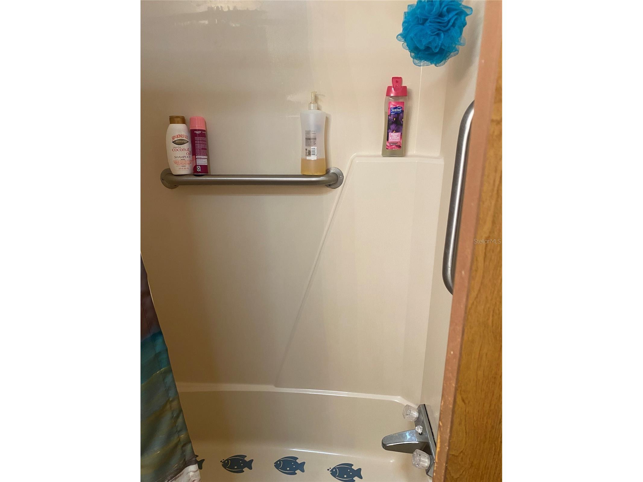 4812 Elwana Way Zephyrhills FL 33541 TB8482971 image7