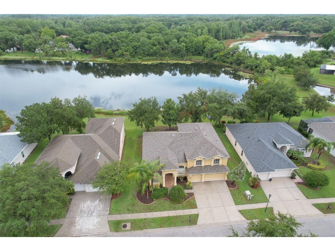 4812 Walnut Ridge Road Land O Lakes FL 34638 - LAKE TALIA T3534566 image1
