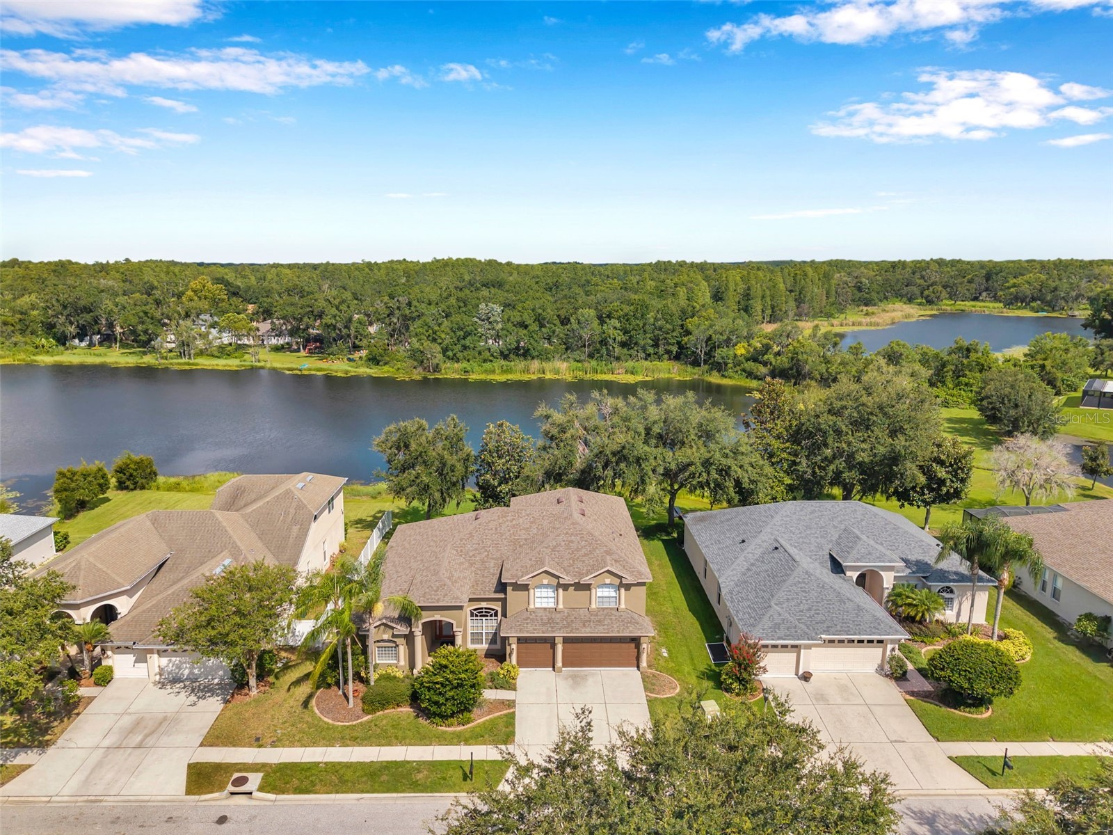 4812 Walnut Ridge Road Land O Lakes FL 34638 - LAKE TALIA TB8501991 image1