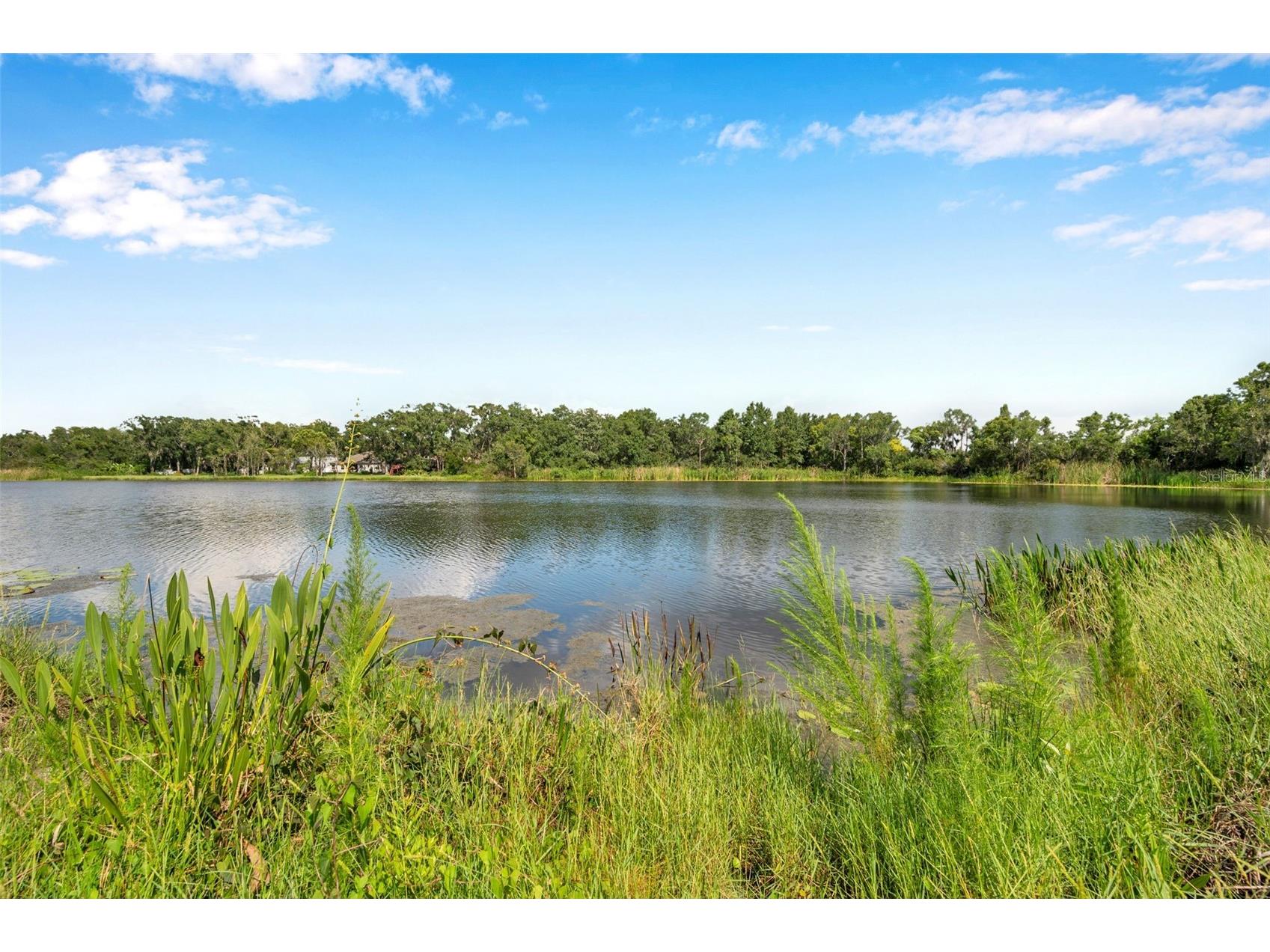 4812 Walnut Ridge Road Land O Lakes FL 34638 - LAKE TALIA TB8501991 image2