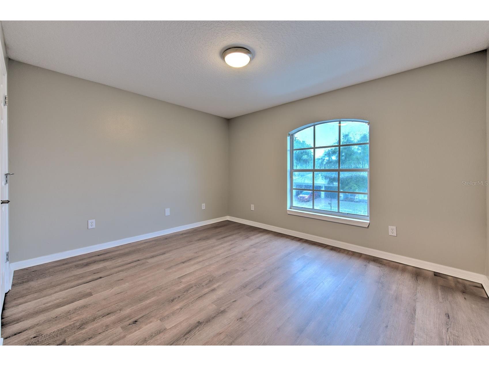 4812 Walnut Ridge Road Land O Lakes FL 34638 - LAKE TALIA TB8501991 image37