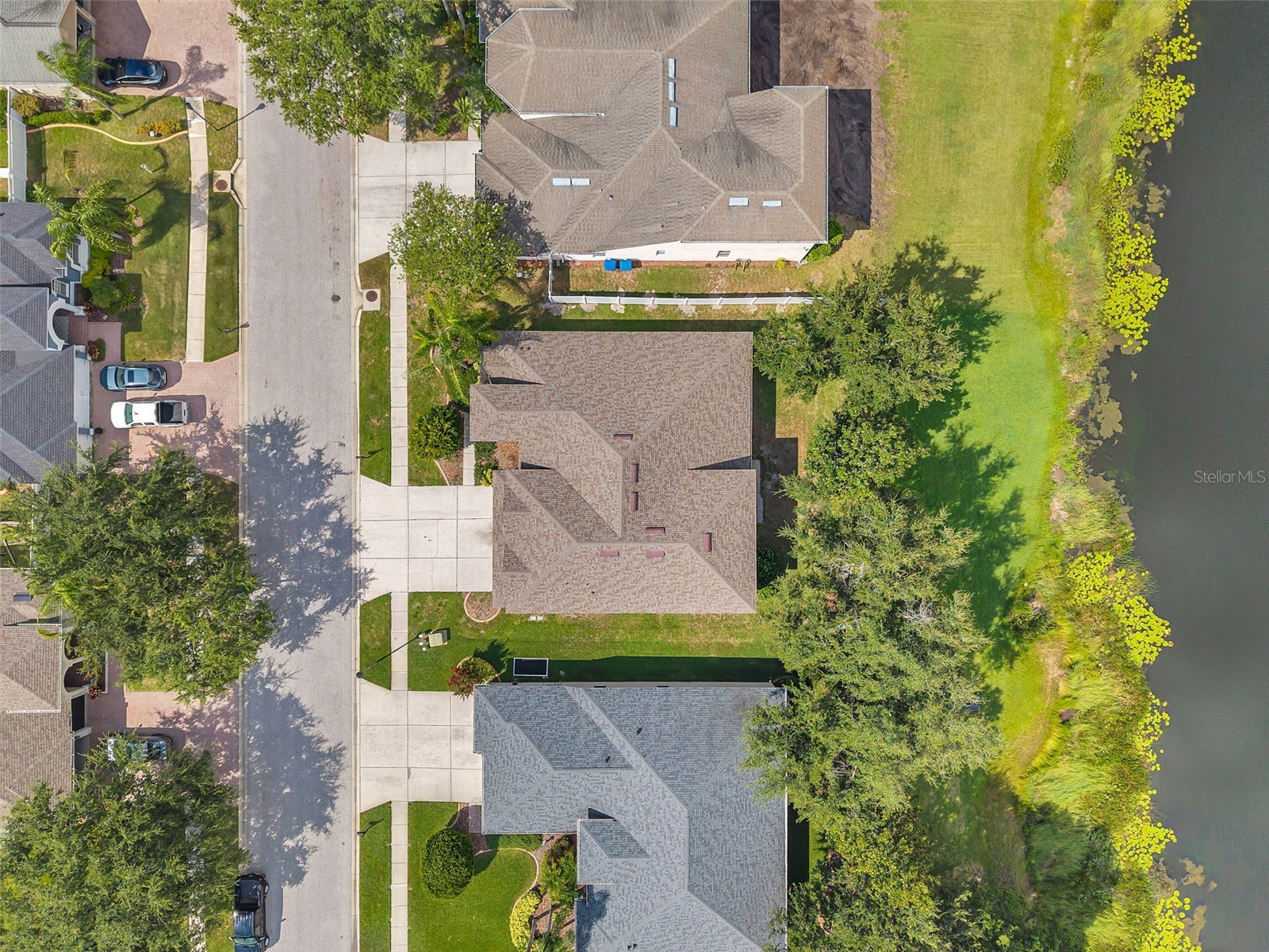 4812 Walnut Ridge Road Land O Lakes FL 34638 - LAKE TALIA TB8501991 image52