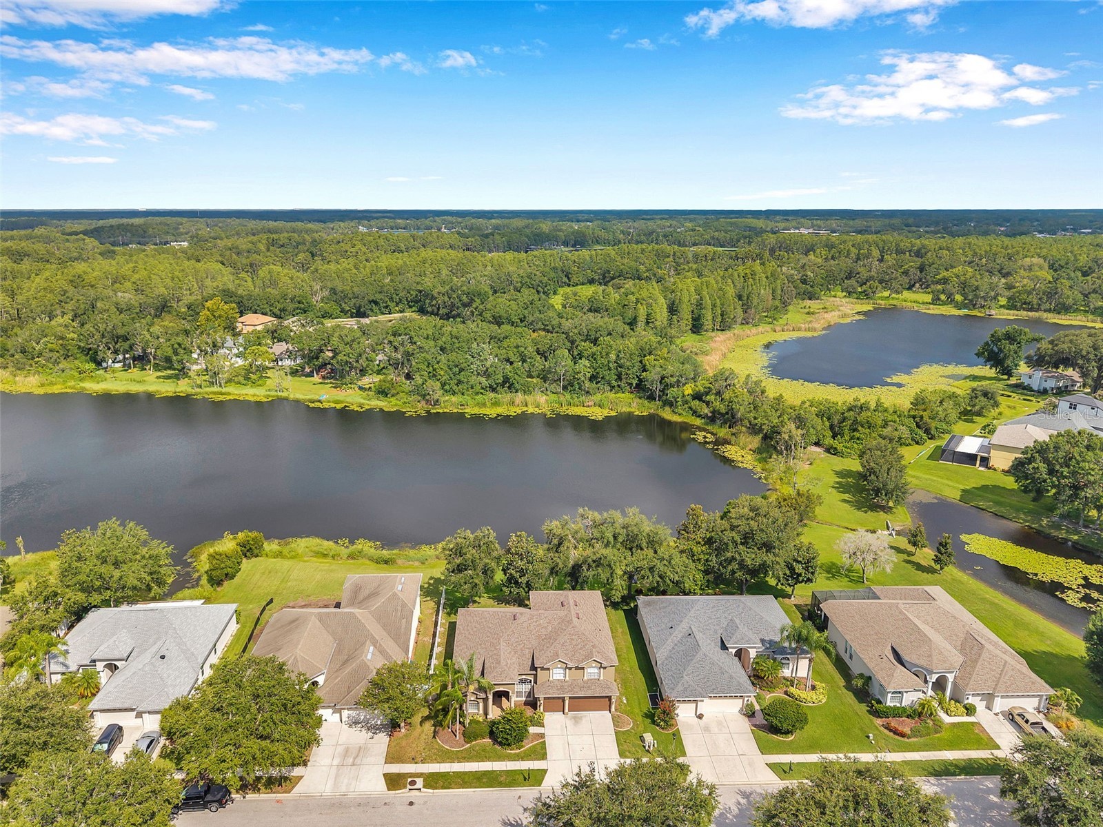 4812 Walnut Ridge Road Land O Lakes FL 34638 - LAKE TALIA TB8501991 image53