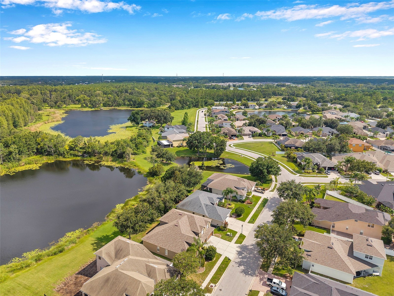 4812 Walnut Ridge Road Land O Lakes FL 34638 - LAKE TALIA TB8501991 image54