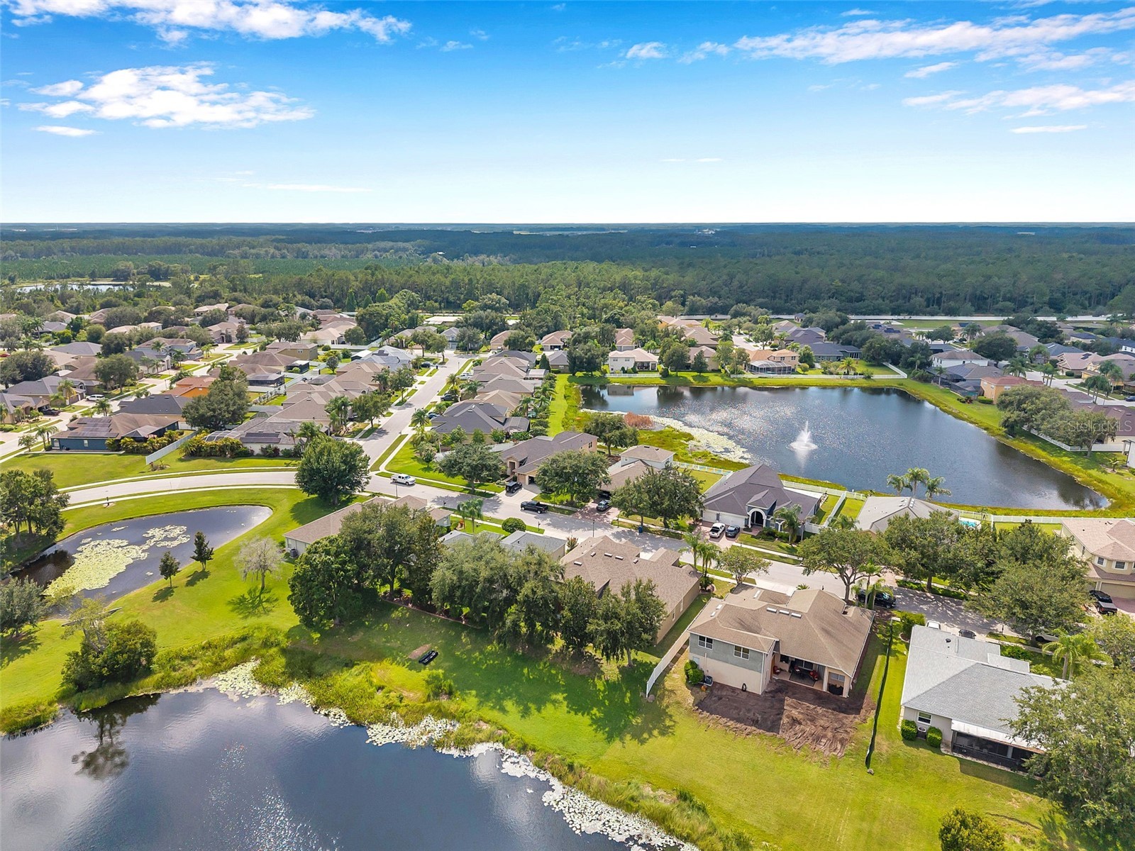 4812 Walnut Ridge Road Land O Lakes FL 34638 - LAKE TALIA TB8501991 image55
