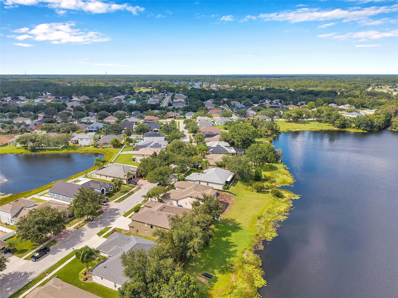 4812 Walnut Ridge Road Land O Lakes FL 34638 - LAKE TALIA TB8501991 image56