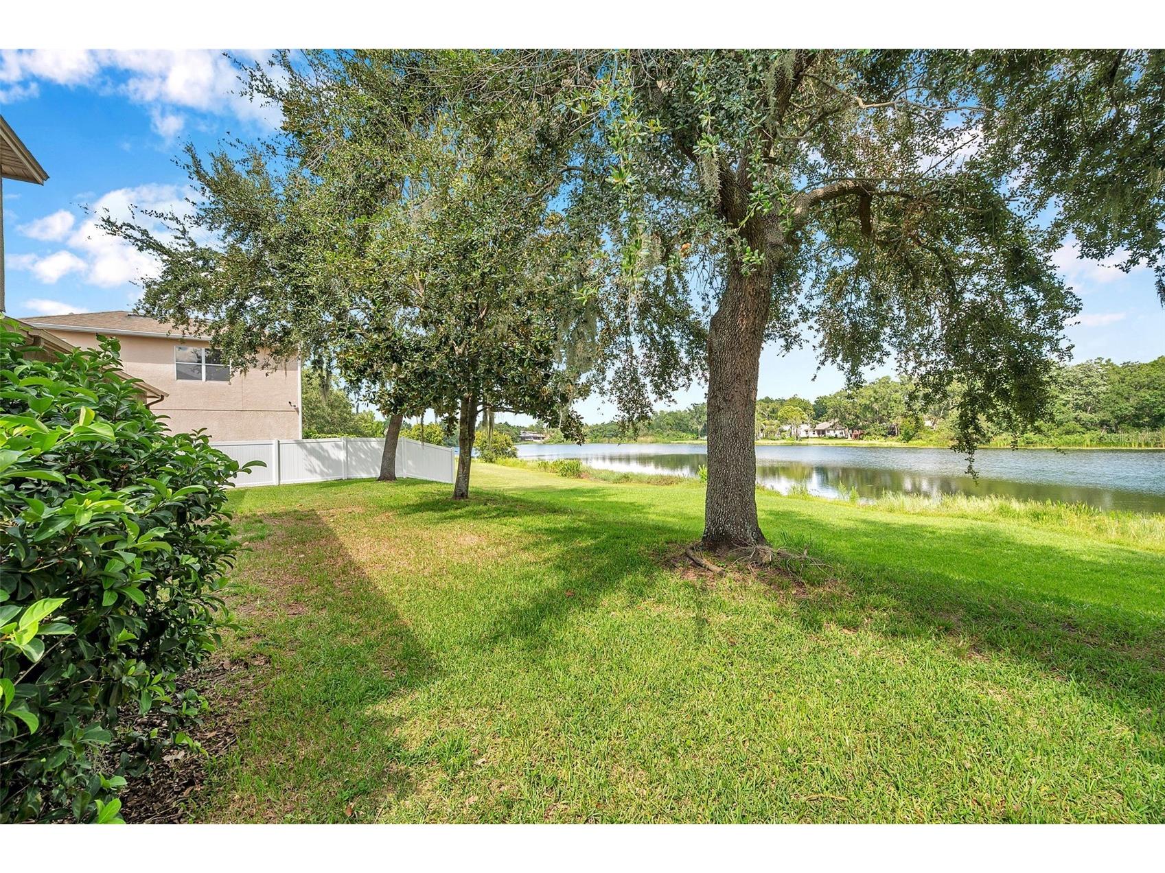 4812 Walnut Ridge Road Land O Lakes FL 34638 - LAKE TALIA TB8501991 image63