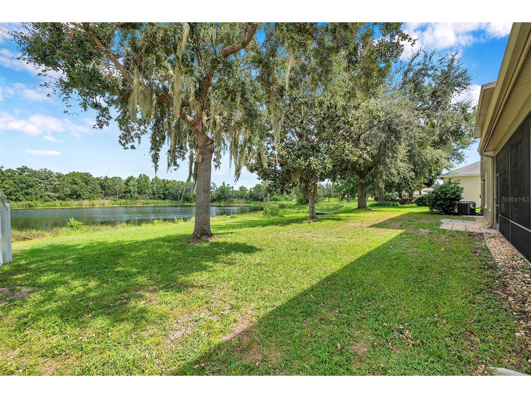 4812 Walnut Ridge Road Land O Lakes FL 34638 - LAKE TALIA TB8501991 image64