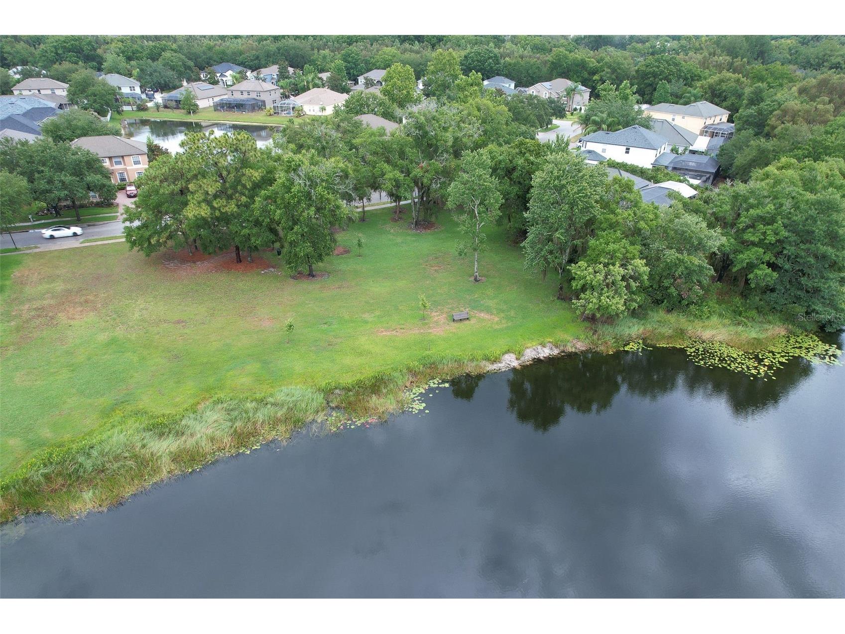 4812 Walnut Ridge Road Land O Lakes FL 34638 - LAKE TALIA TB8501991 image66