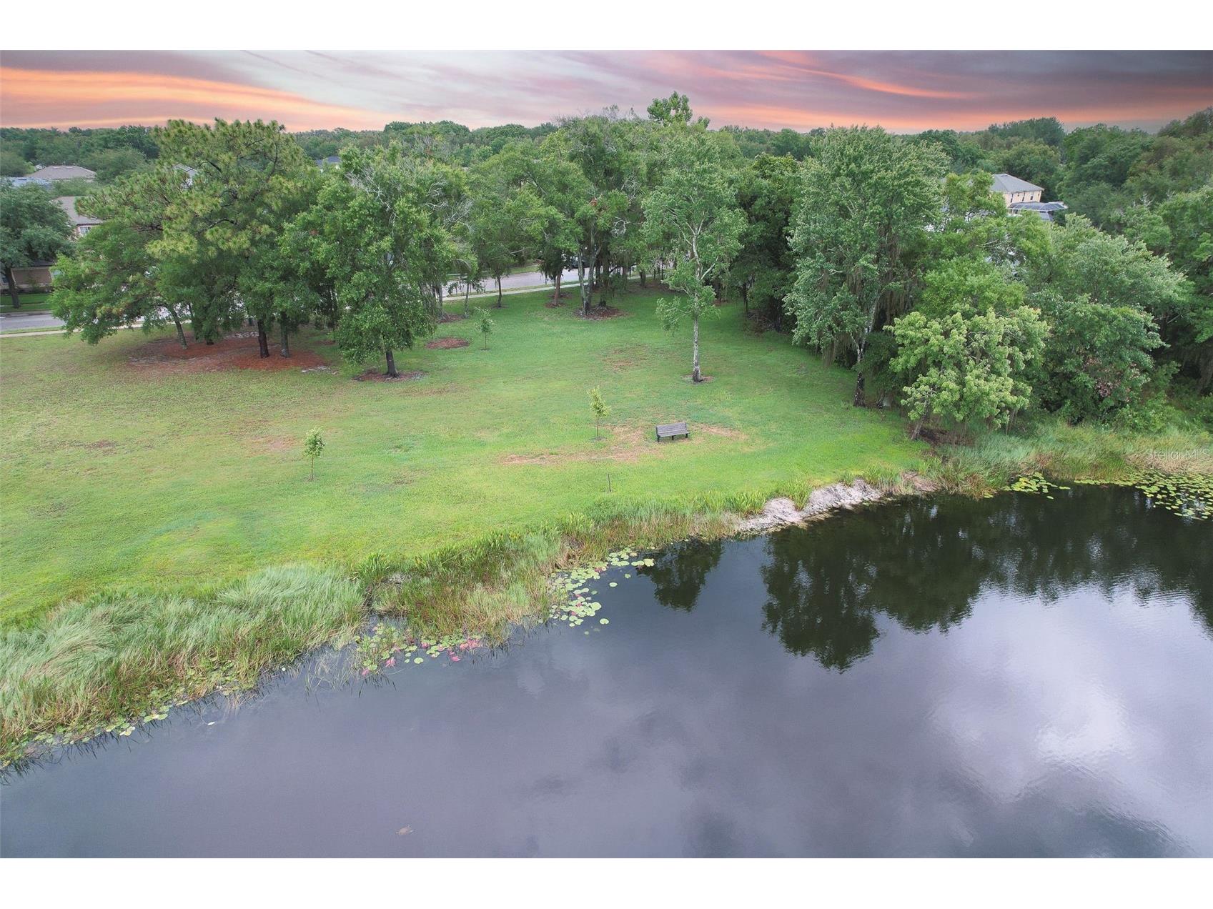 4812 Walnut Ridge Road Land O Lakes FL 34638 - LAKE TALIA TB8501991 image67