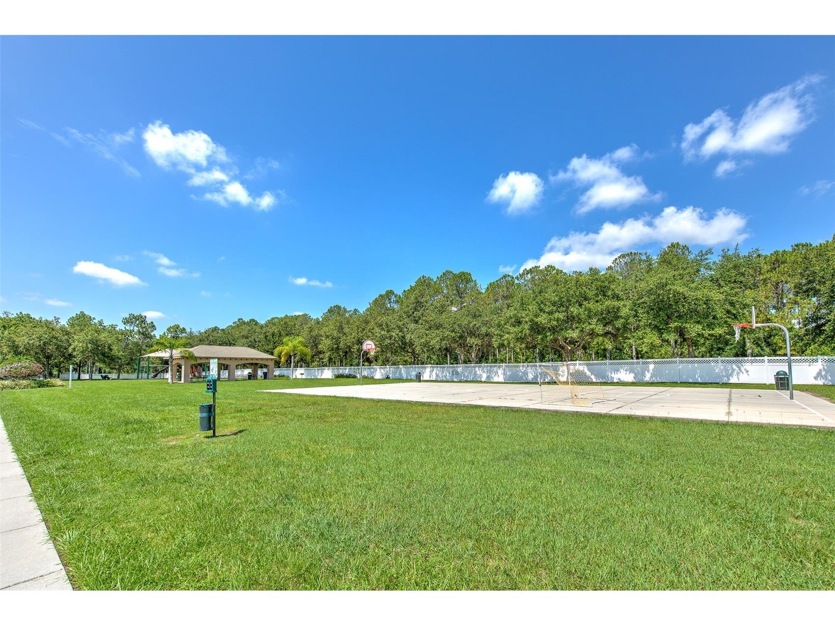 4812 Walnut Ridge Road Land O Lakes FL 34638 - LAKE TALIA TB8501991 image68