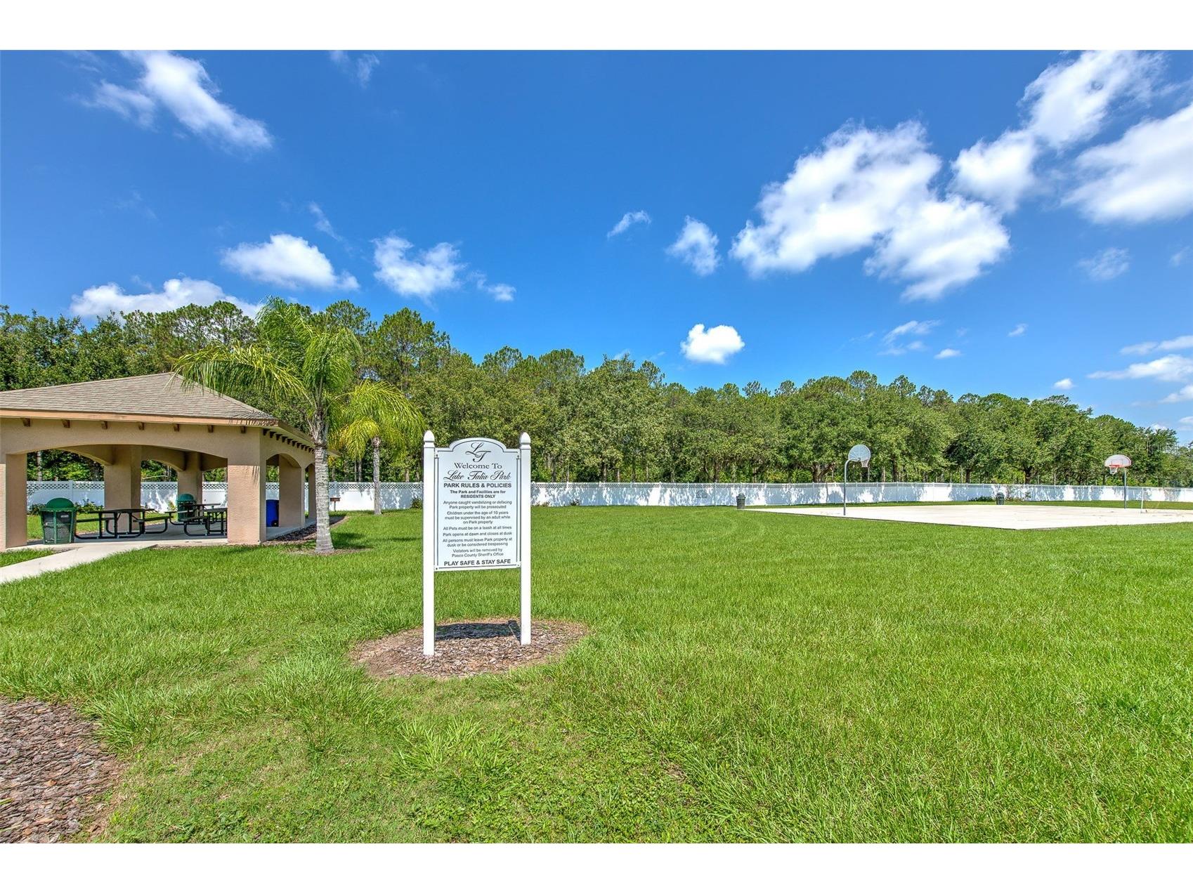 4812 Walnut Ridge Road Land O Lakes FL 34638 - LAKE TALIA TB8501991 image72