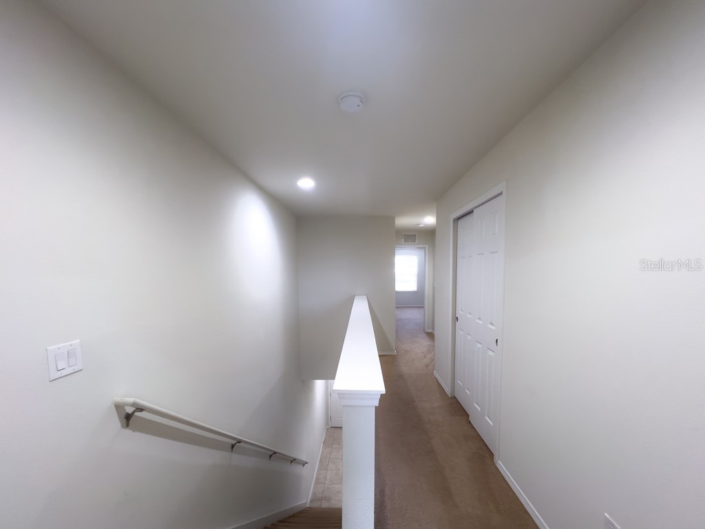 4812 White Sanderling Court Tampa FL 33619 TB8483834 image12