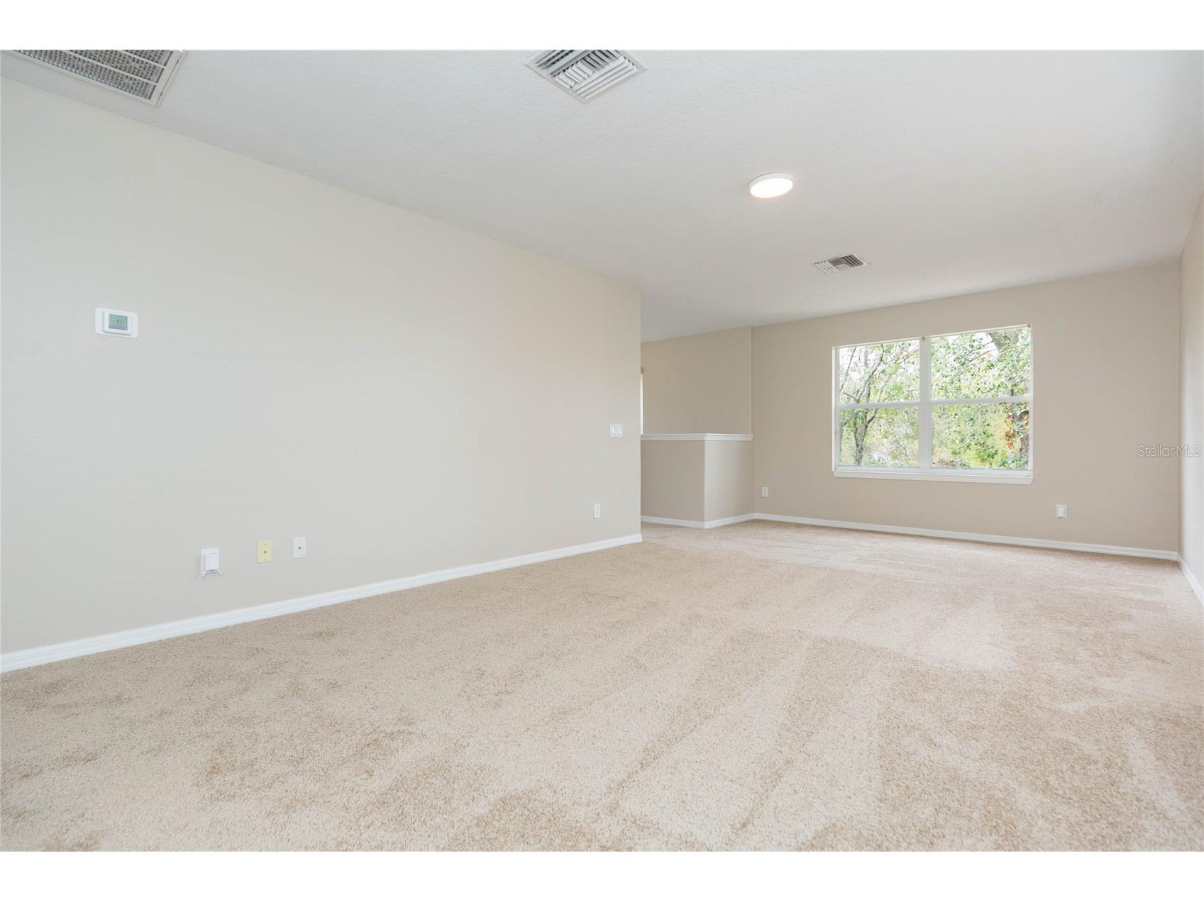 4813 Artesian Road Land O Lakes FL 34638 TB8481262 image38