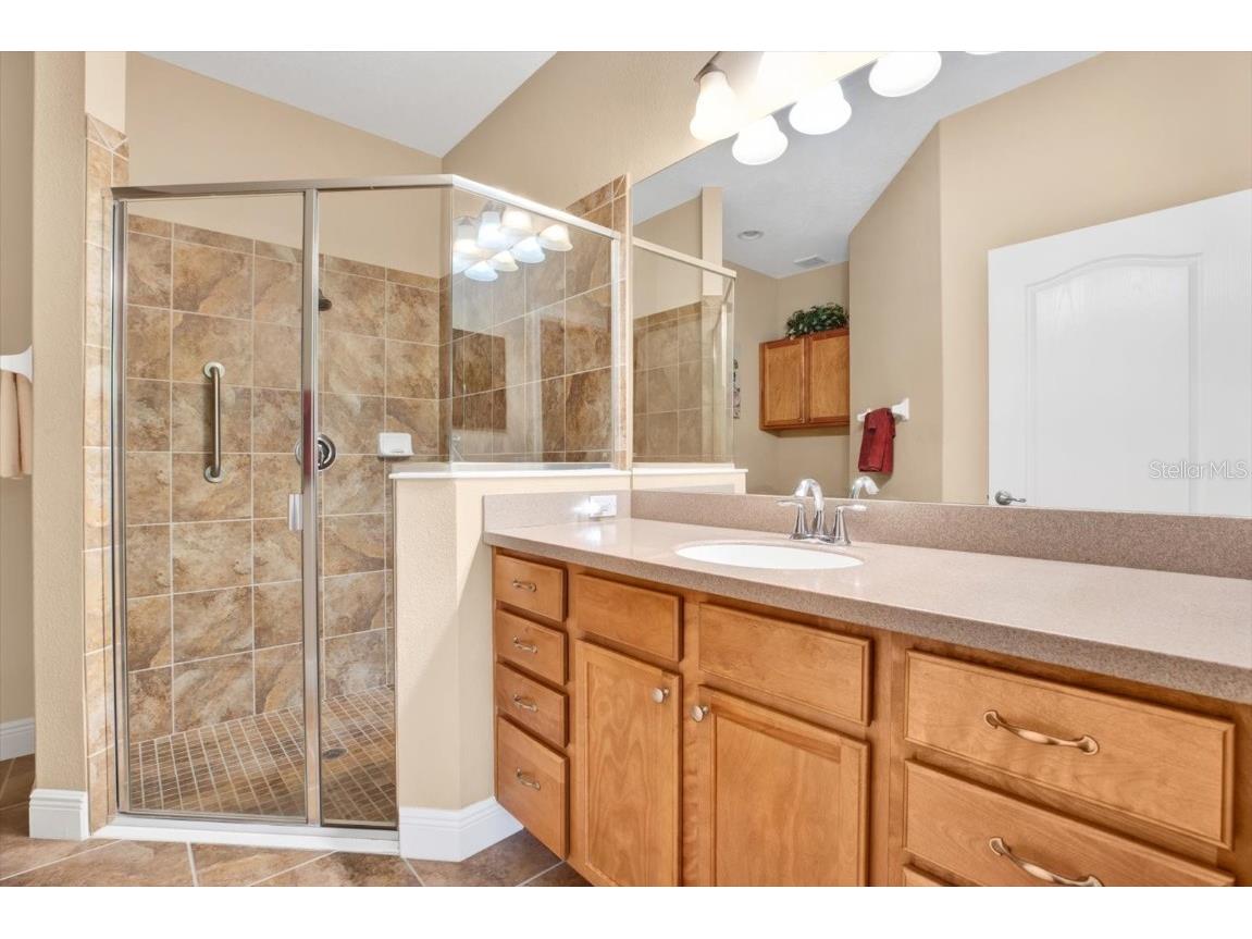 4813 Michelle Lane Palm Harbor FL 34684 TB8356447 image12