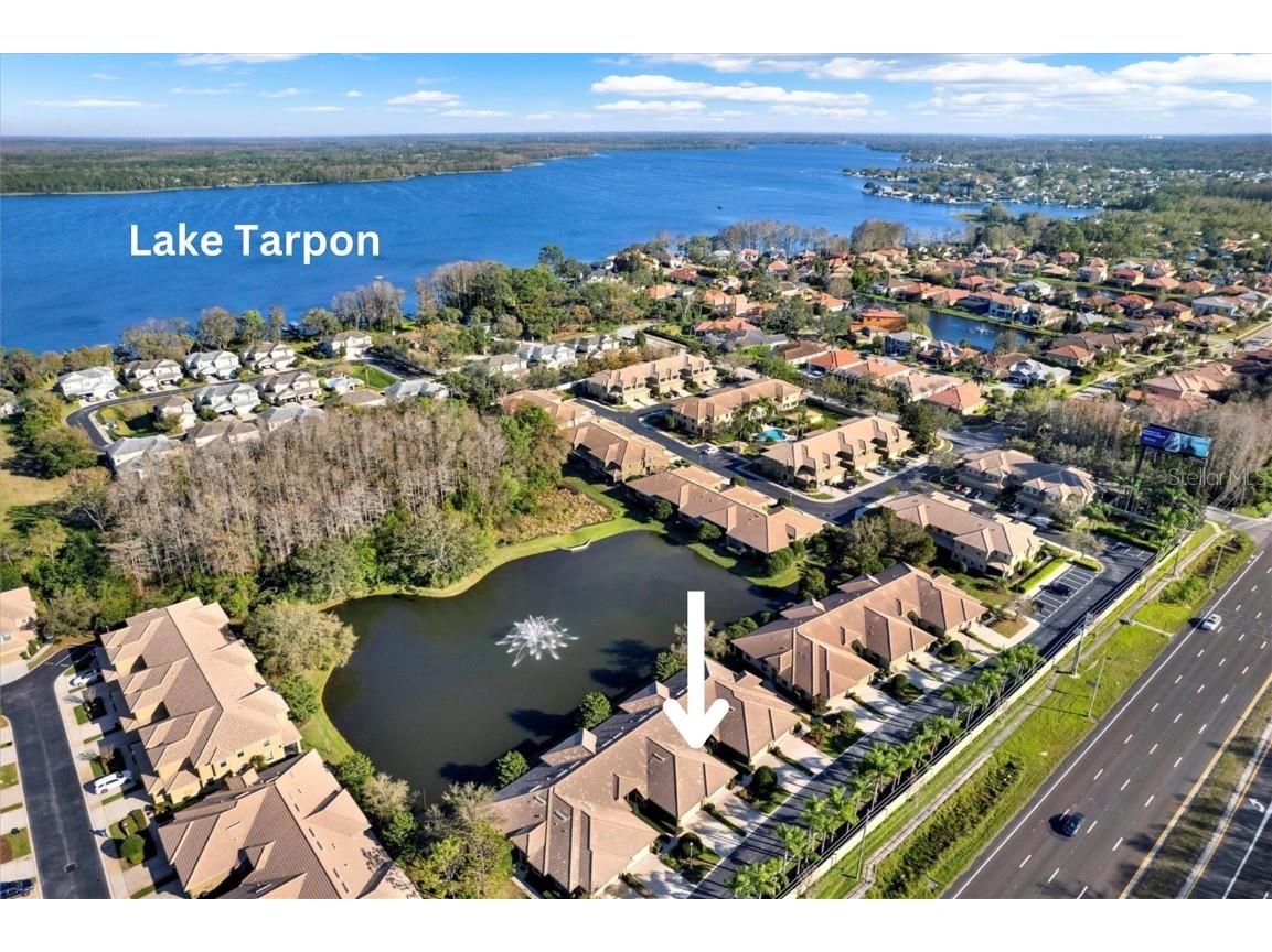 4813 Michelle Lane Palm Harbor FL 34684 TB8356447 image15