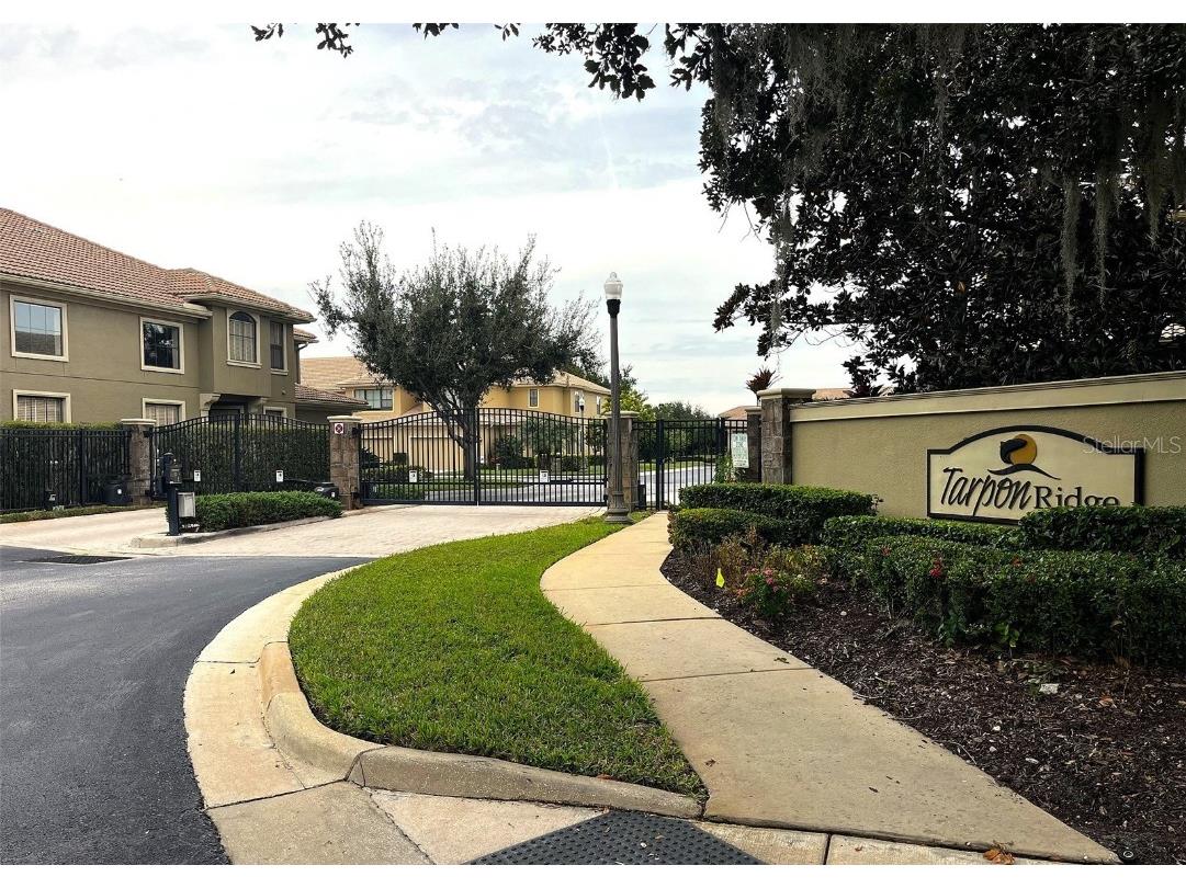 4813 Michelle Lane Palm Harbor FL 34684 TB8356447 image16