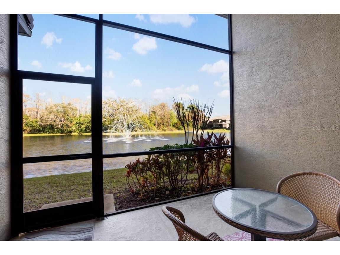 4813 Michelle Lane Palm Harbor FL 34684 TB8356447 image4