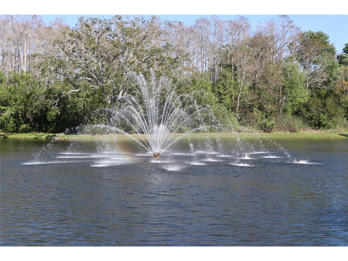 4813 Michelle Lane Palm Harbor FL 34684 TB8356447 image5