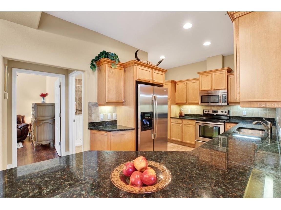 4813 Michelle Lane Palm Harbor FL 34684 TB8356447 image6