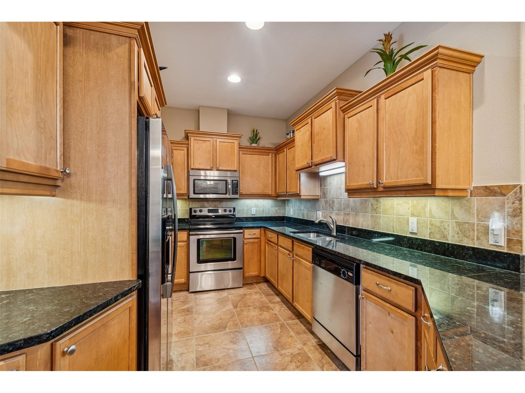 4813 Michelle Lane Palm Harbor FL 34684 TB8482198 image12