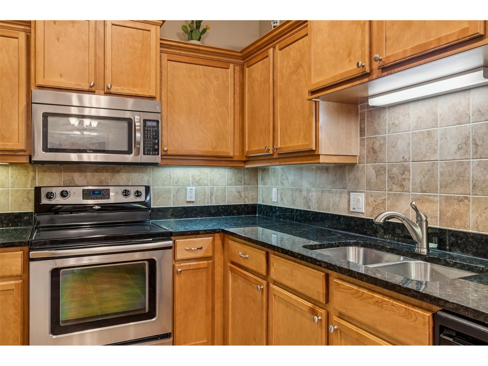 4813 Michelle Lane Palm Harbor FL 34684 TB8482198 image13