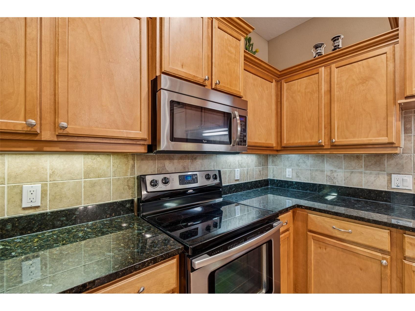 4813 Michelle Lane Palm Harbor FL 34684 TB8482198 image15