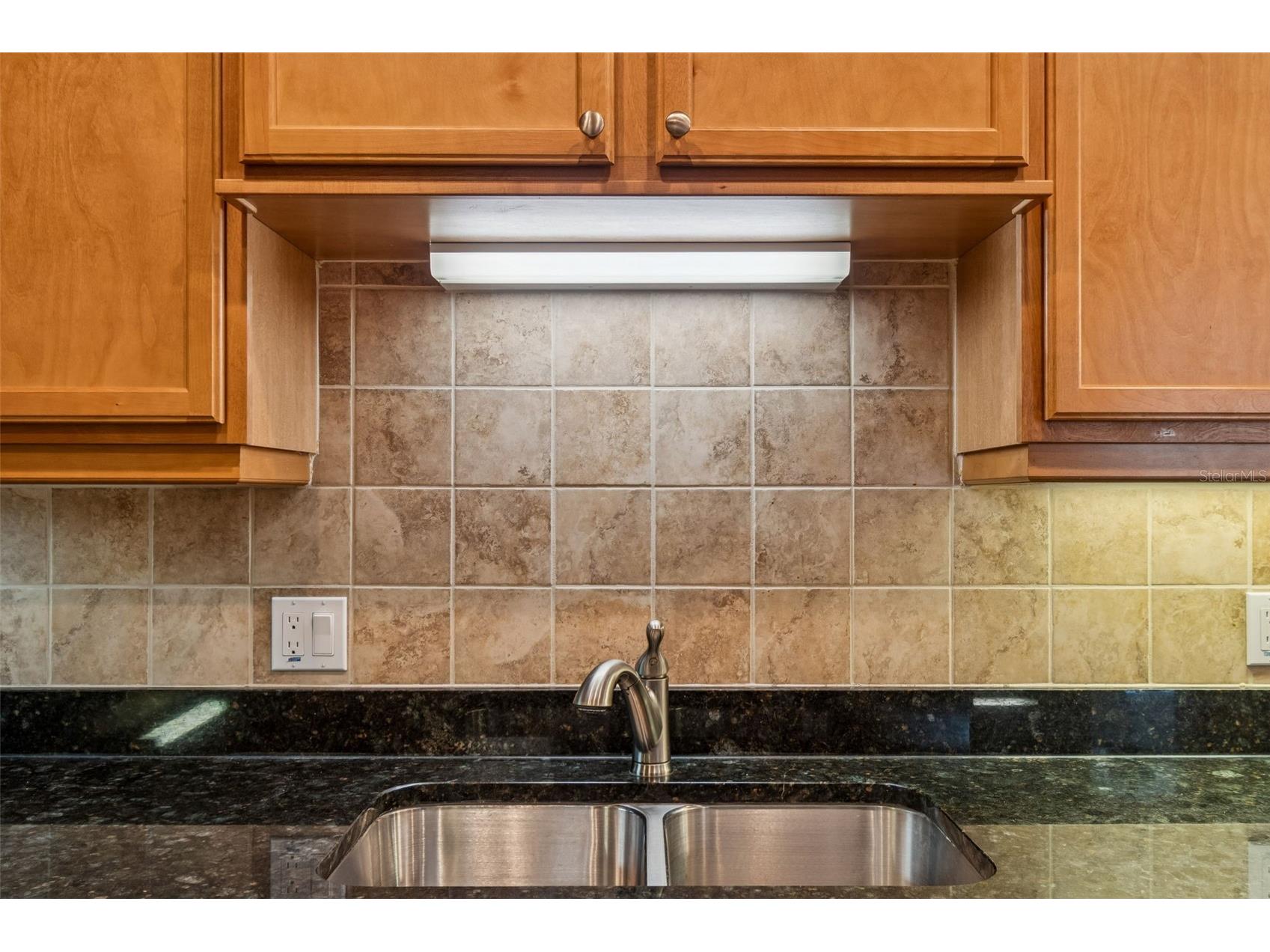 4813 Michelle Lane Palm Harbor FL 34684 TB8482198 image16