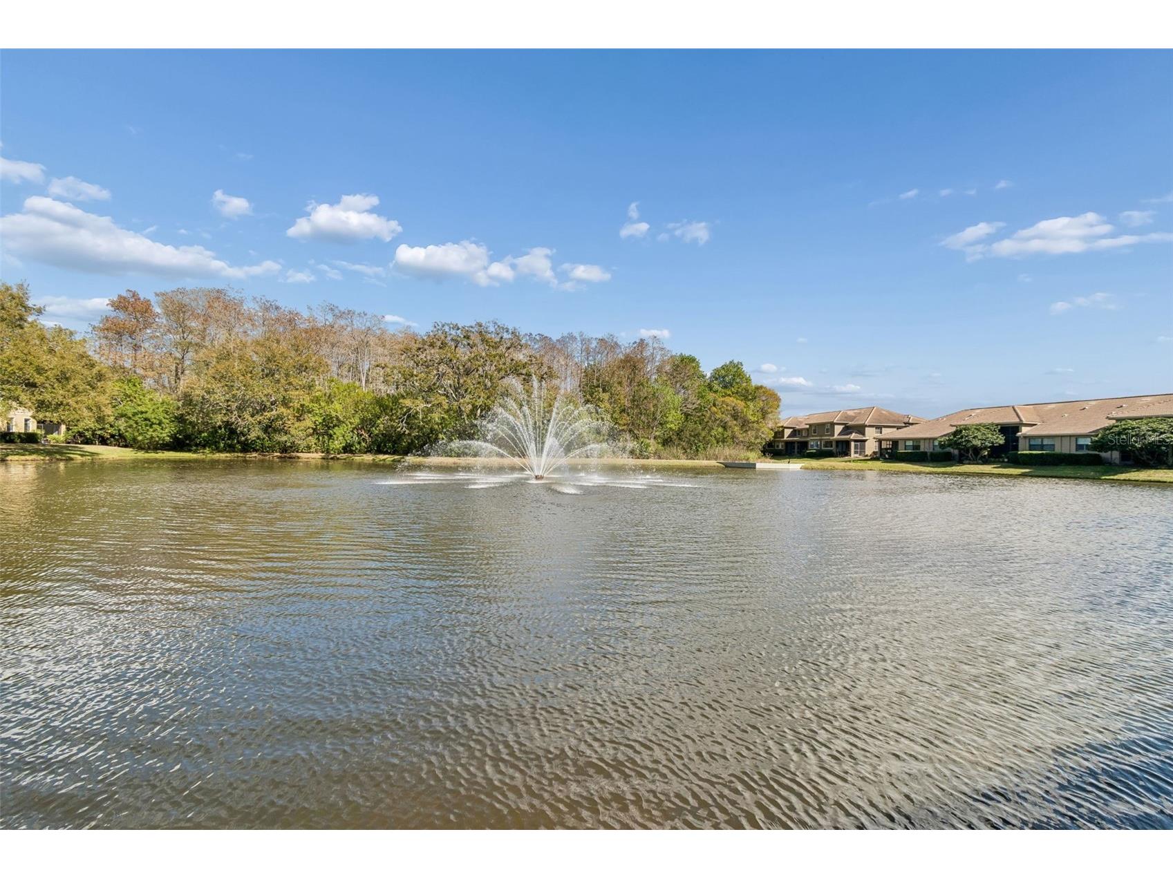4813 Michelle Lane Palm Harbor FL 34684 TB8482198 image2