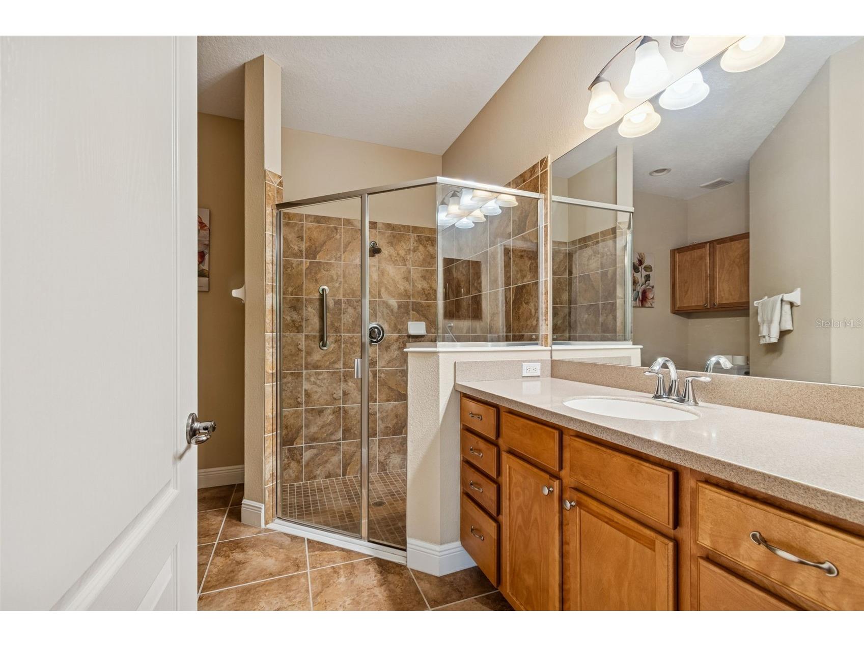 4813 Michelle Lane Palm Harbor FL 34684 TB8482198 image34