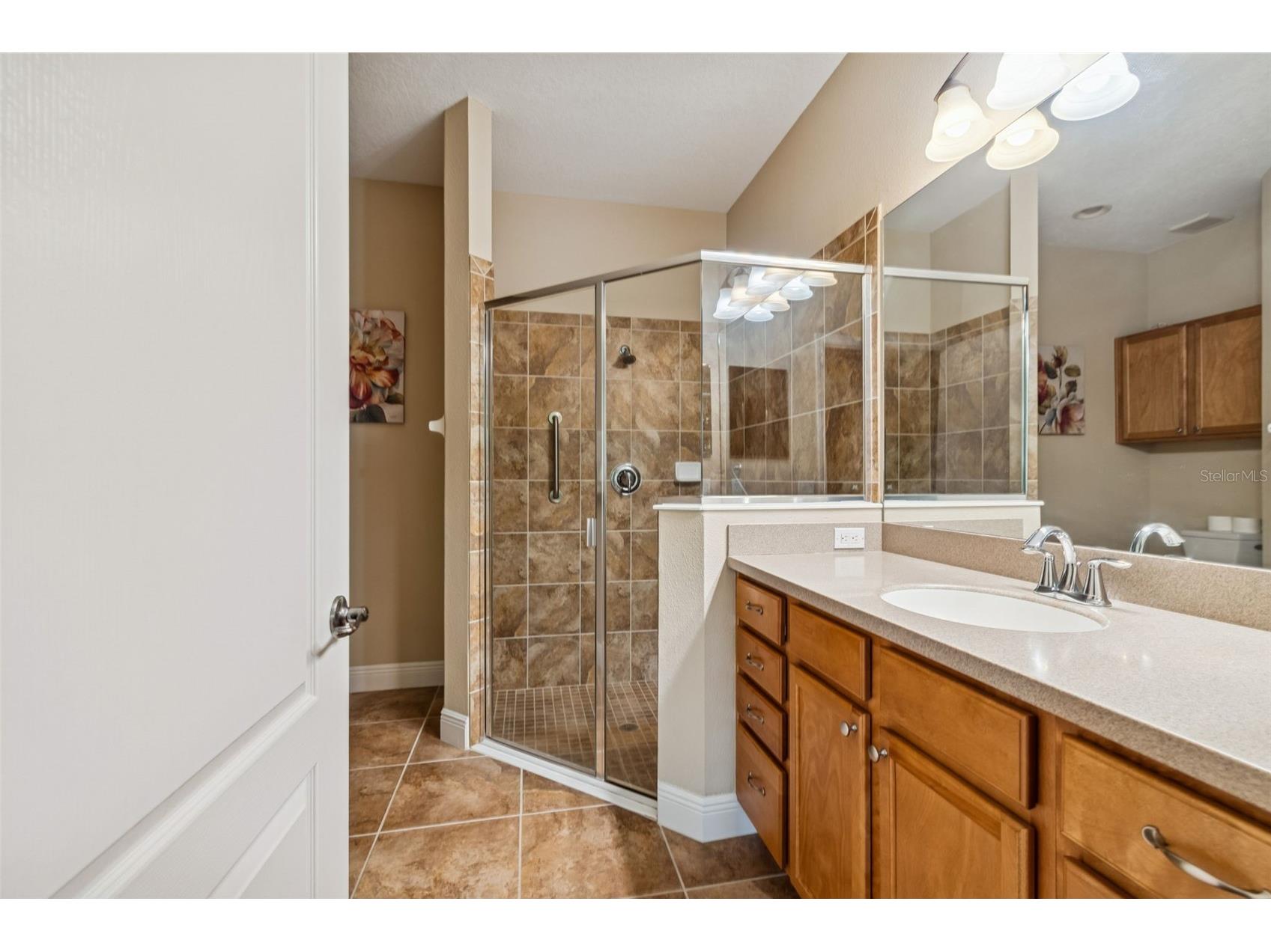 4813 Michelle Lane Palm Harbor FL 34684 TB8482198 image35