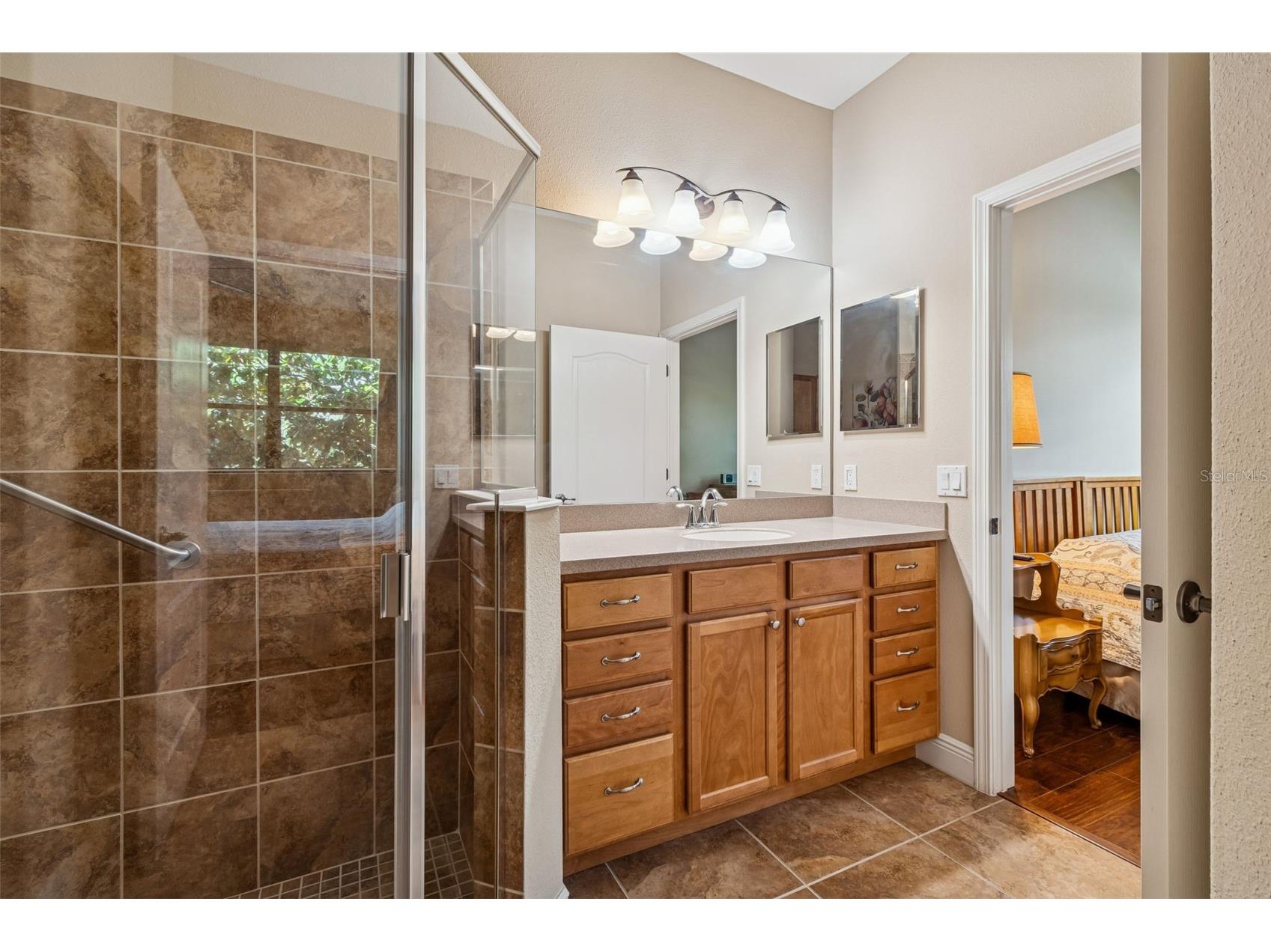 4813 Michelle Lane Palm Harbor FL 34684 TB8482198 image37