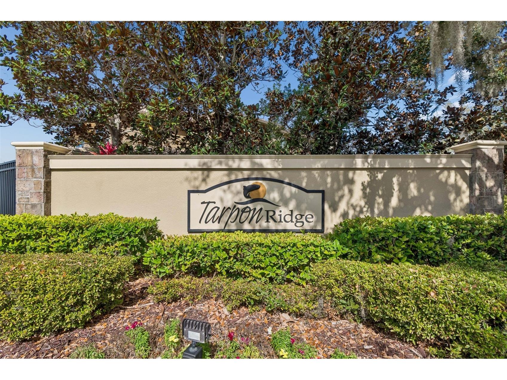4813 Michelle Lane Palm Harbor FL 34684 TB8482198 image40