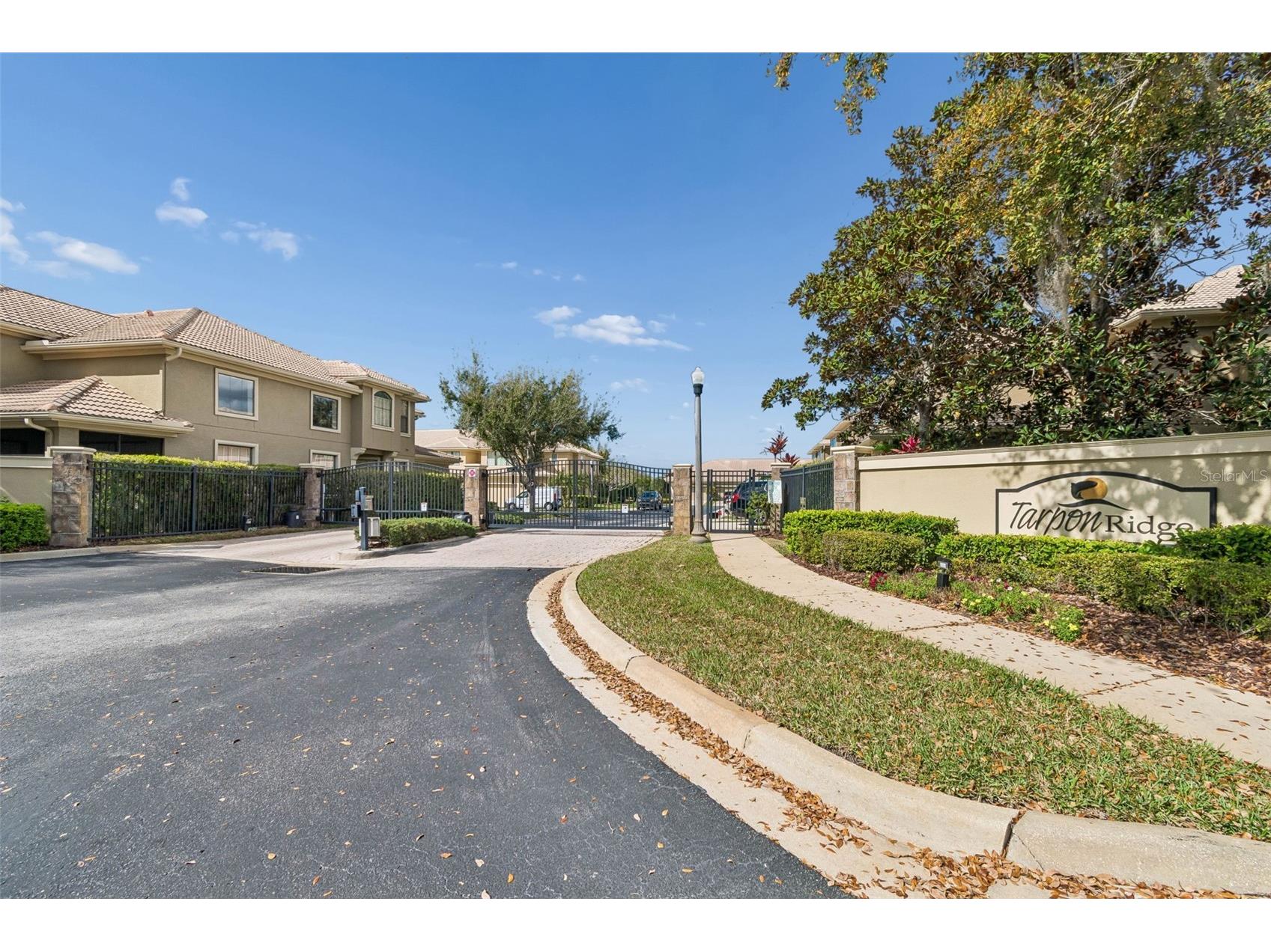 4813 Michelle Lane Palm Harbor FL 34684 TB8482198 image41