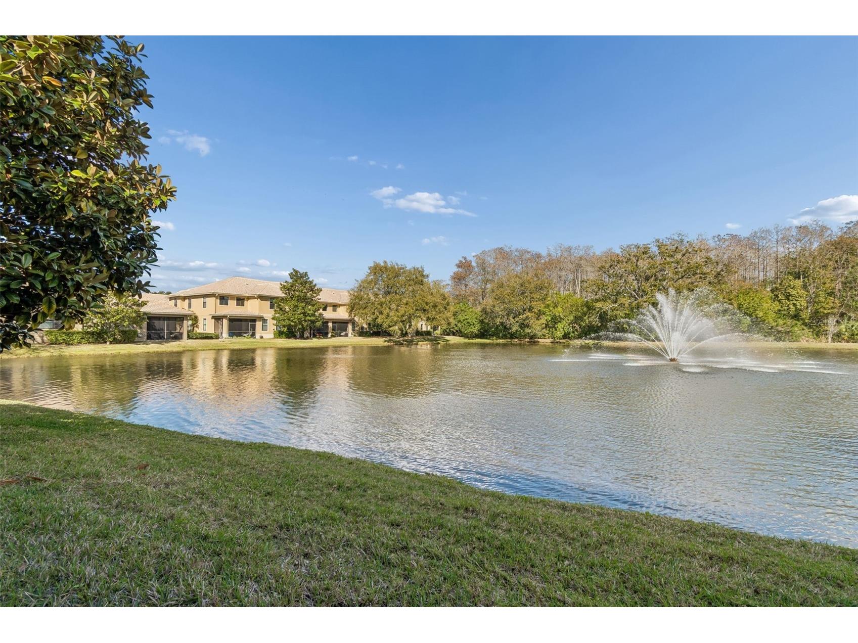 4813 Michelle Lane Palm Harbor FL 34684 TB8482198 image42