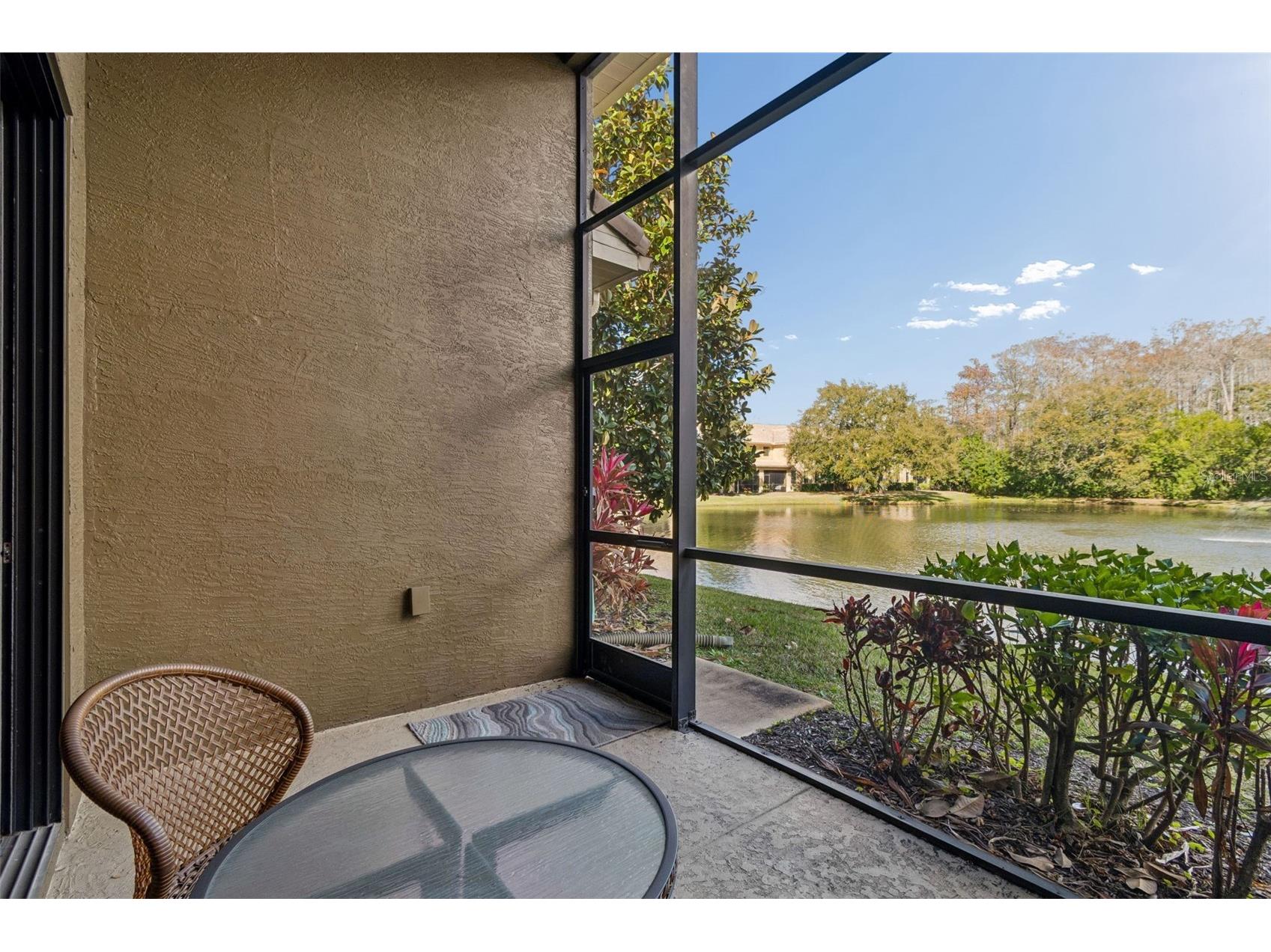 4813 Michelle Lane Palm Harbor FL 34684 TB8482198 image45