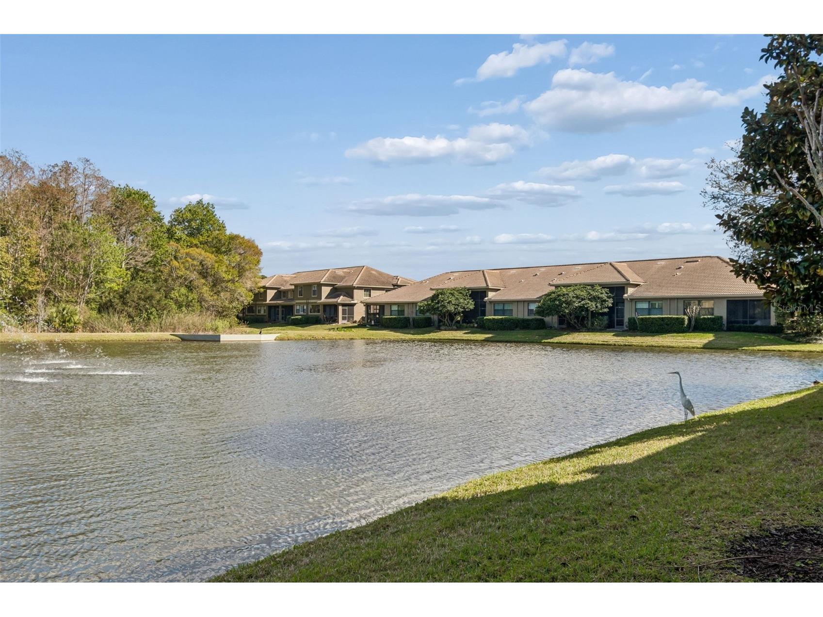 4813 Michelle Lane Palm Harbor FL 34684 TB8482198 image46