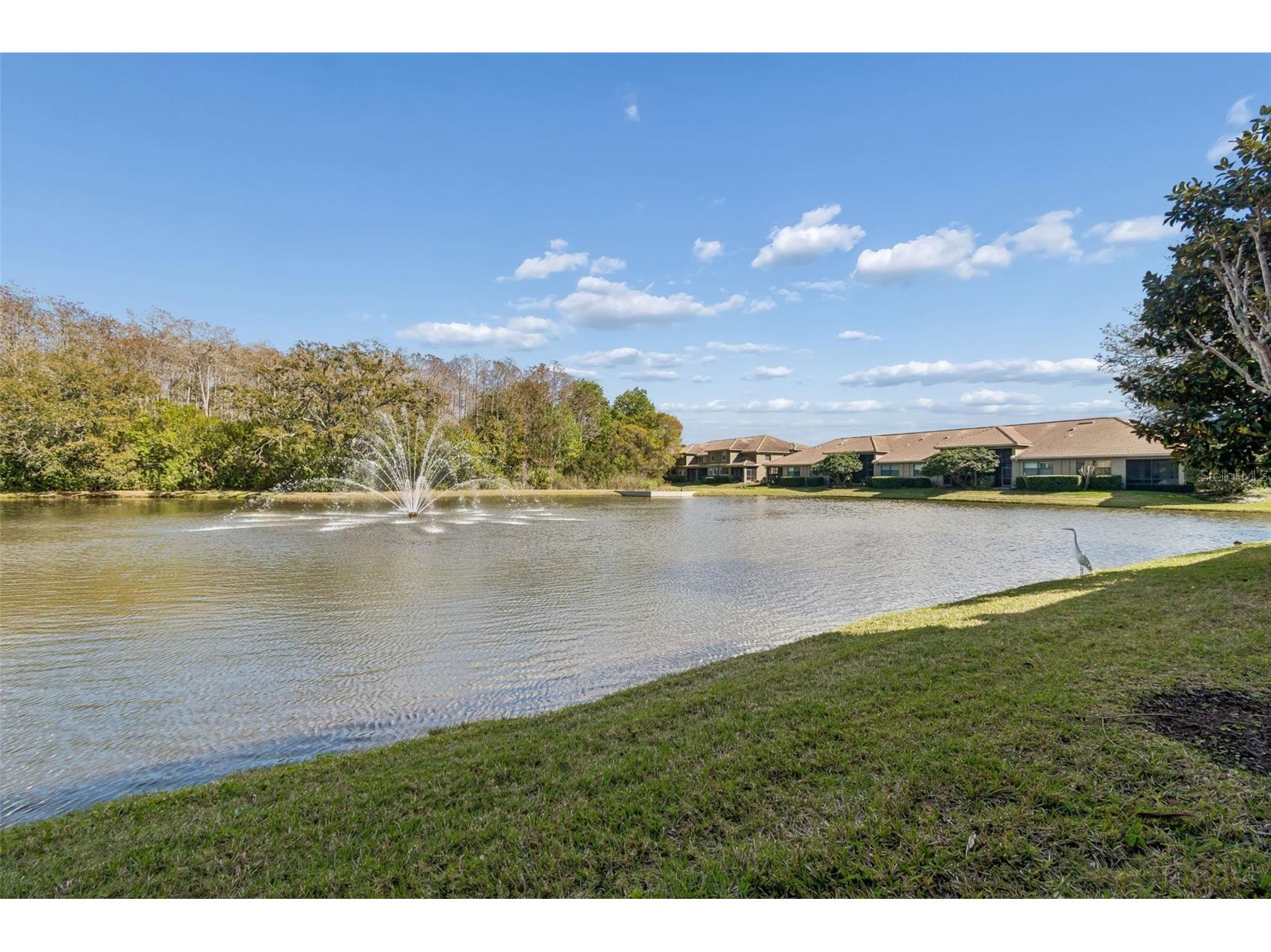 4813 Michelle Lane Palm Harbor FL 34684 TB8482198 image47