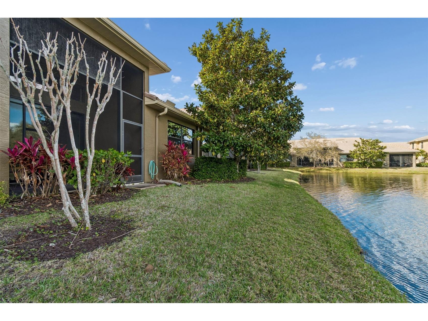 4813 Michelle Lane Palm Harbor FL 34684 TB8482198 image49