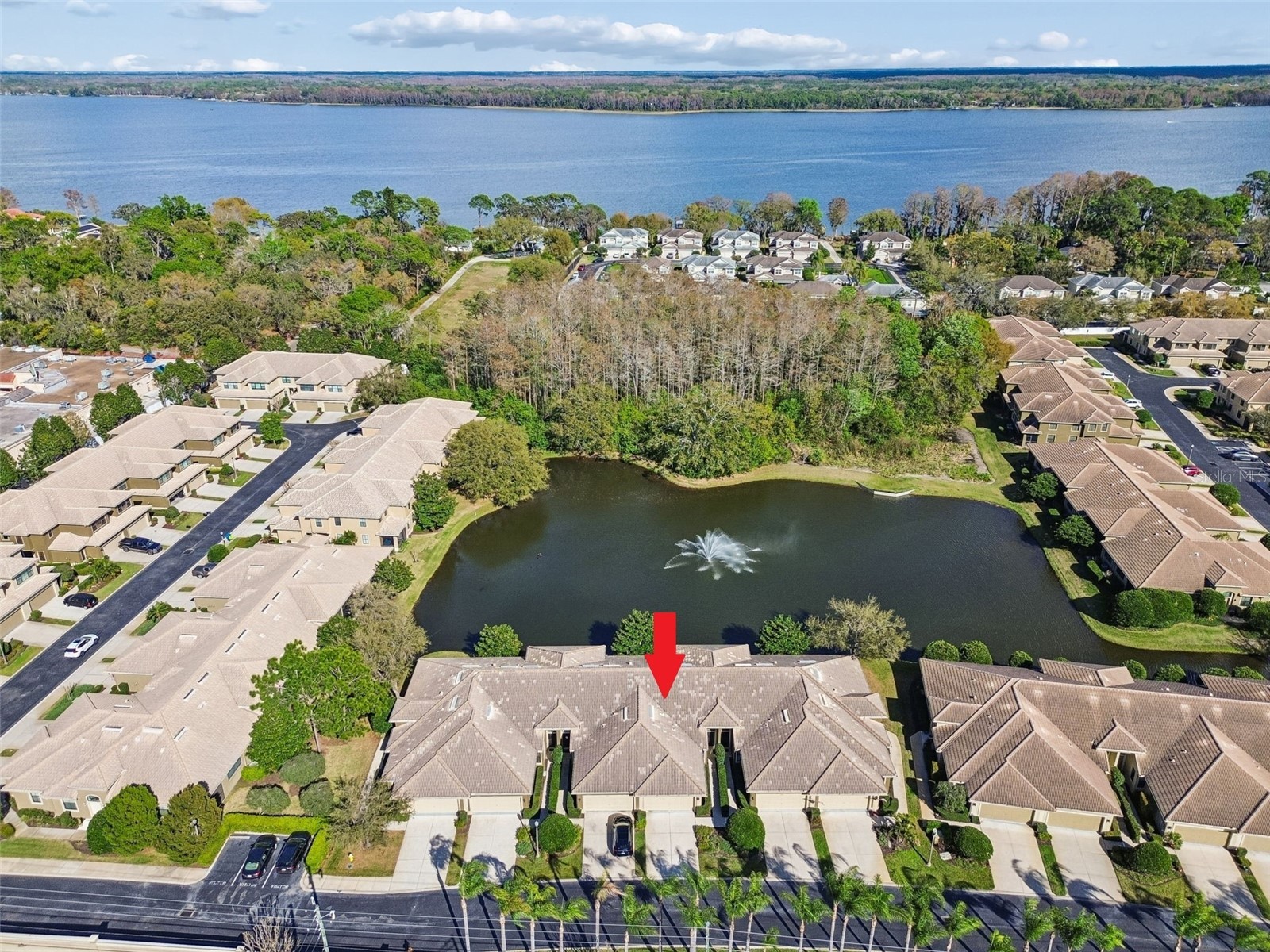 4813 Michelle Lane Palm Harbor FL 34684 TB8482198 image52
