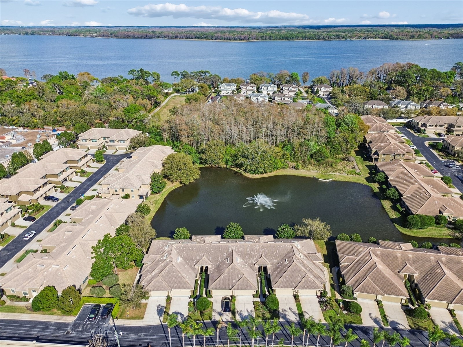 4813 Michelle Lane Palm Harbor FL 34684 TB8482198 image53