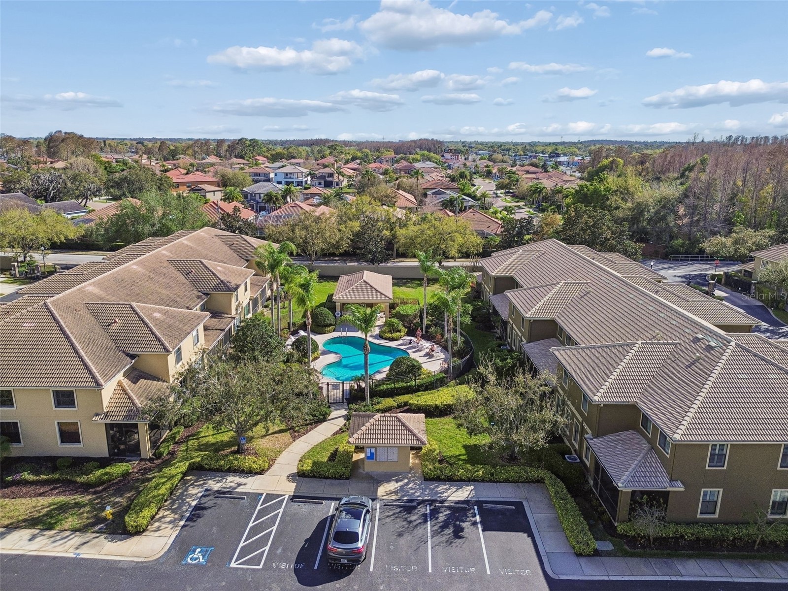 4813 Michelle Lane Palm Harbor FL 34684 TB8482198 image58
