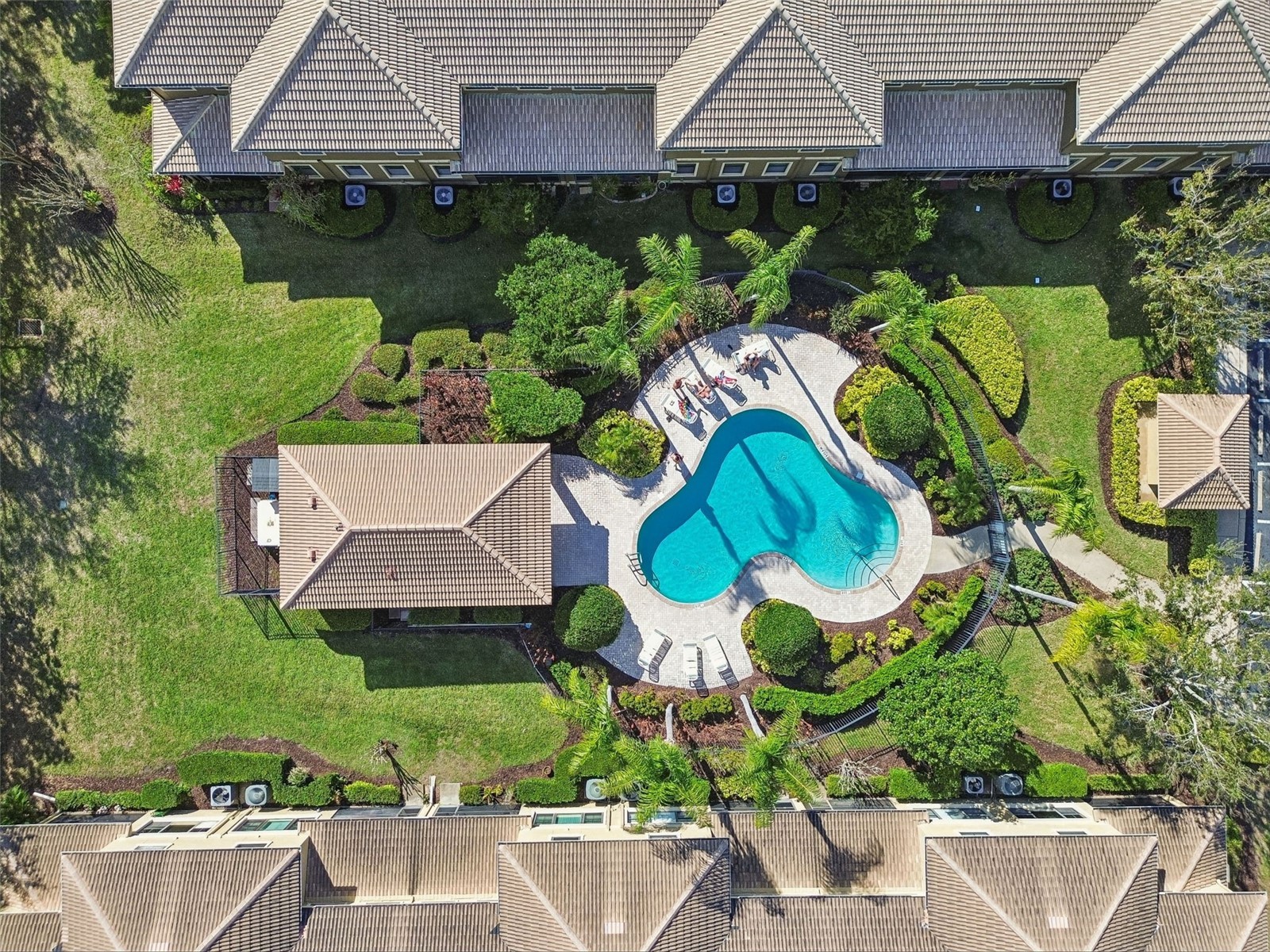 4813 Michelle Lane Palm Harbor FL 34684 TB8482198 image61