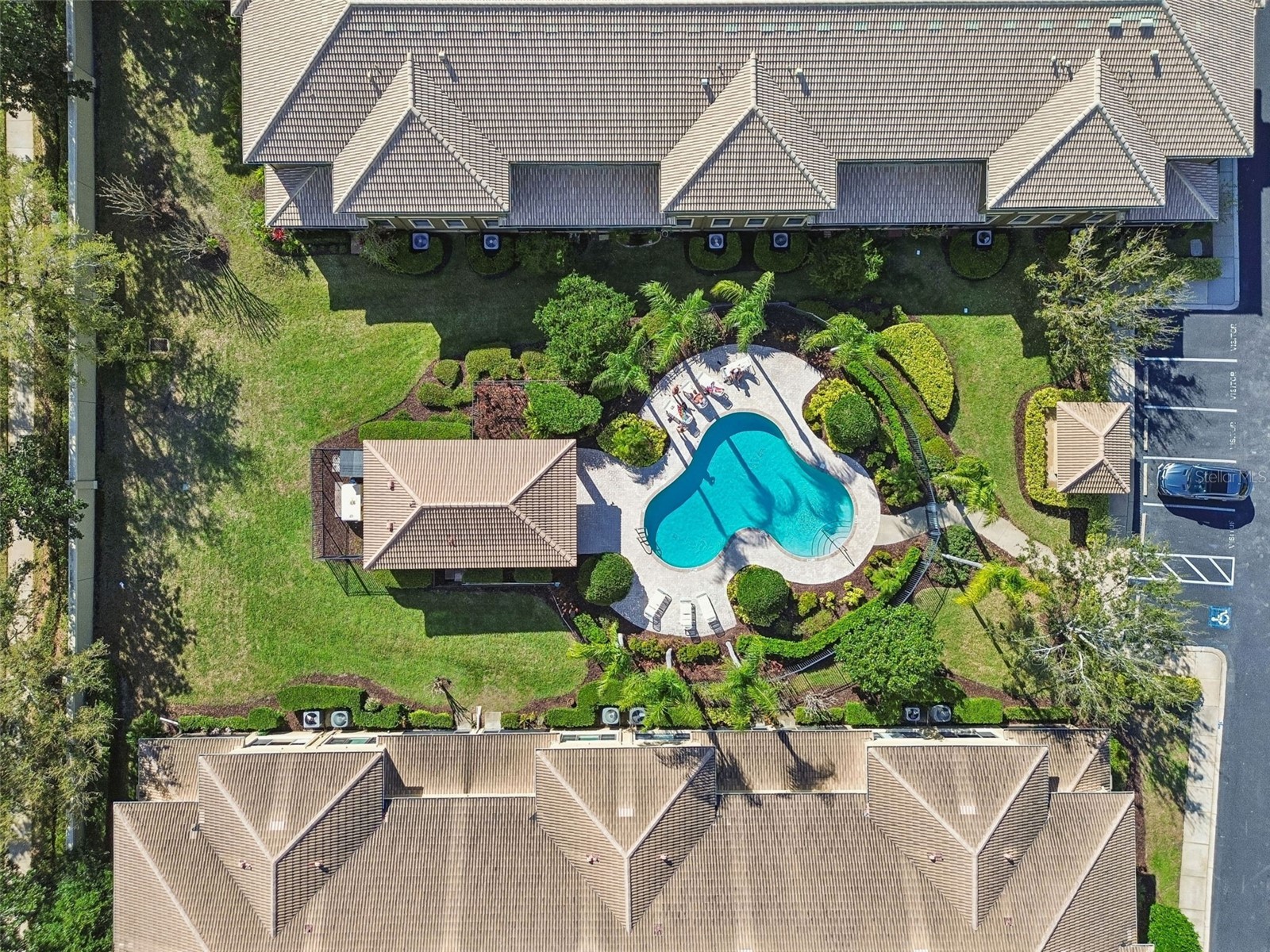 4813 Michelle Lane Palm Harbor FL 34684 TB8482198 image63