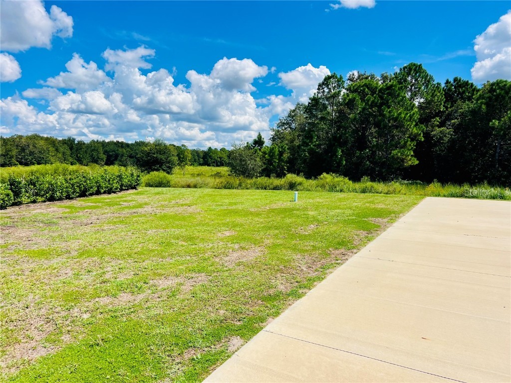 4813 SE 92nd Boulevard Webster FL 33597 G5102610 image3