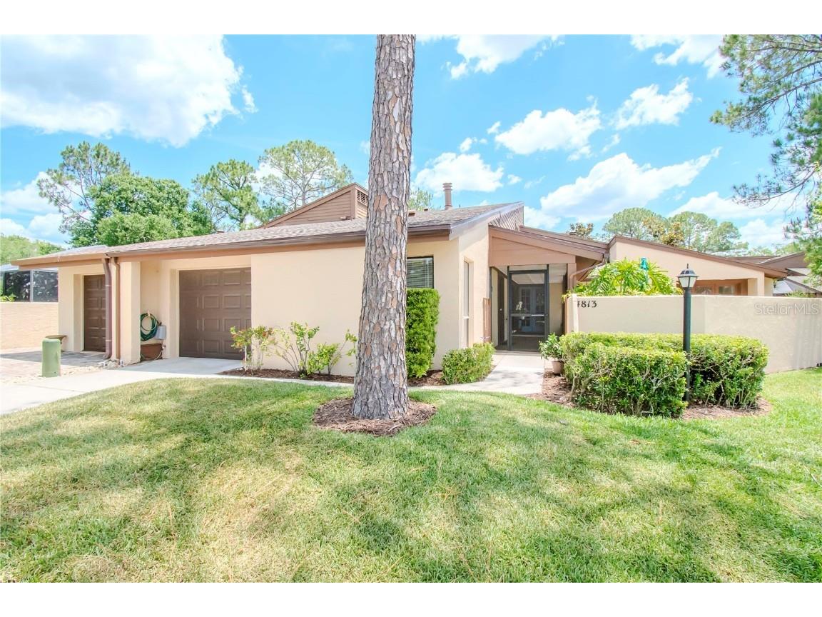 4813 Umber Court Tampa FL 33624 T3524539 image1