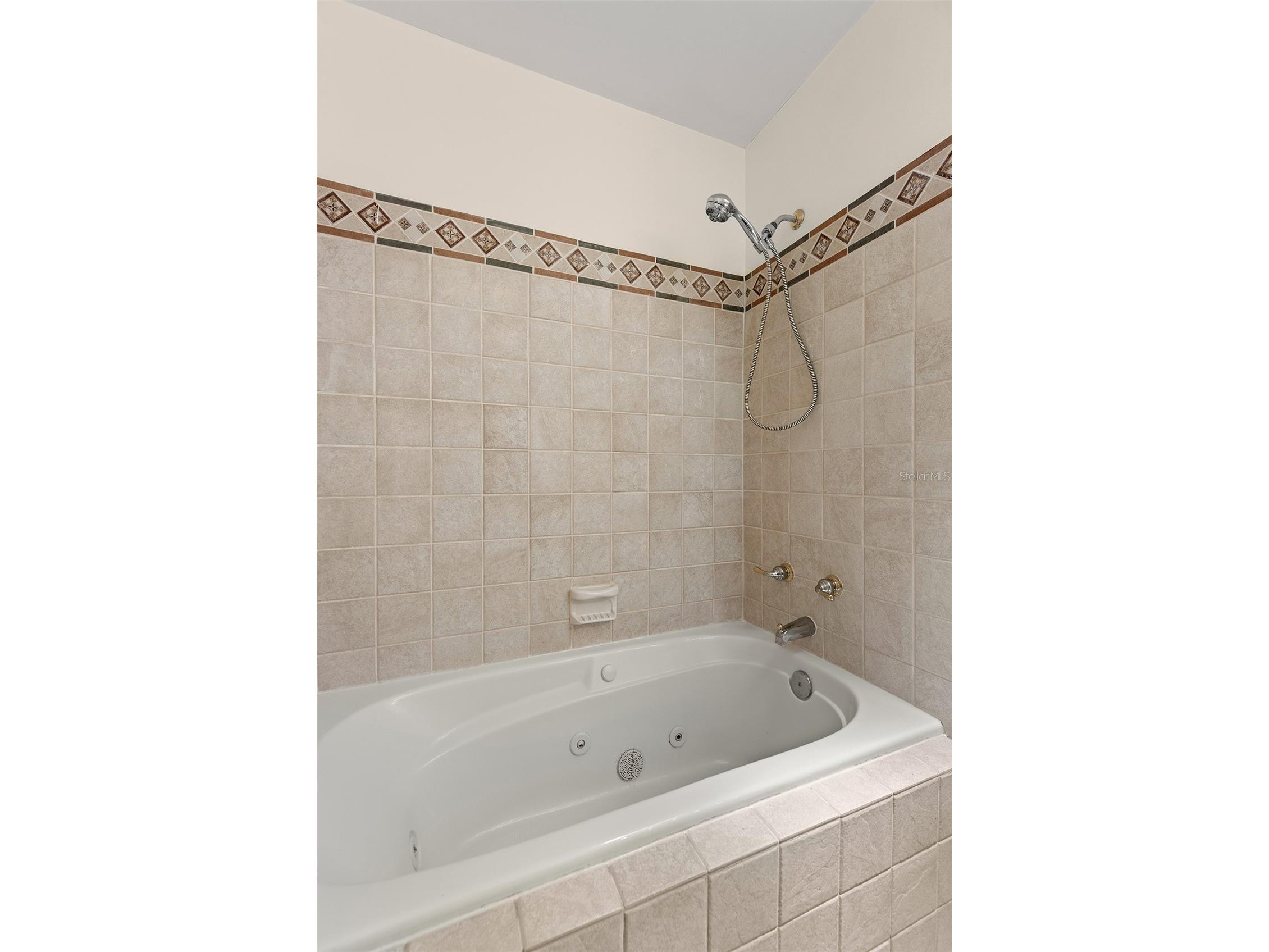 4813 W Bay Villa Avenue Tampa FL 33611 - OLD TAMPA BAY TB8512309 image23