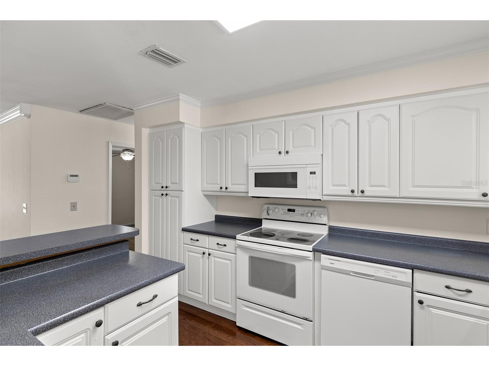 4813 W Bay Villa Avenue Tampa FL 33611 - OLD TAMPA BAY TB8512309 image36