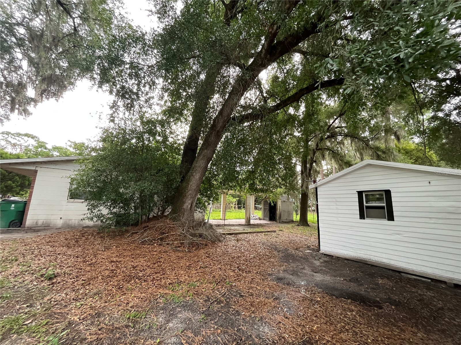 4814 20th Street Zephyrhills FL 33542 TB8515109 image24