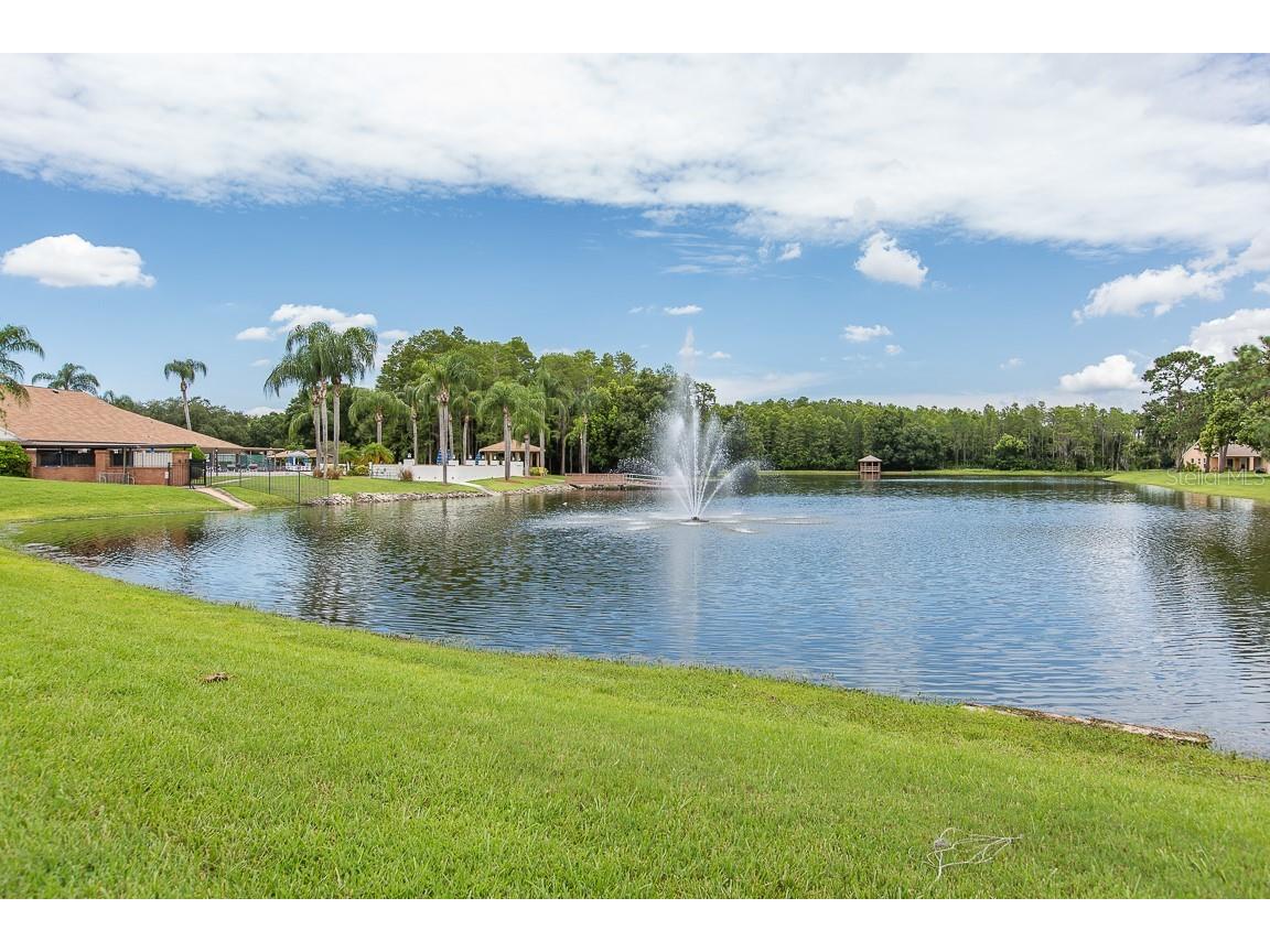 4814 Grist Mill Circle New Port Richey FL 34655 W7880057 image42